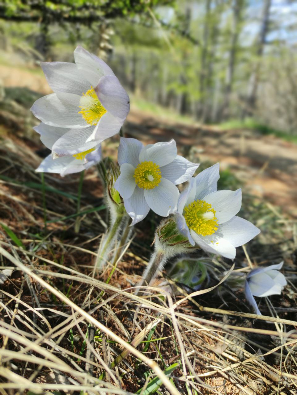 Ольхонский вояж (Мини-группа) (26/34)