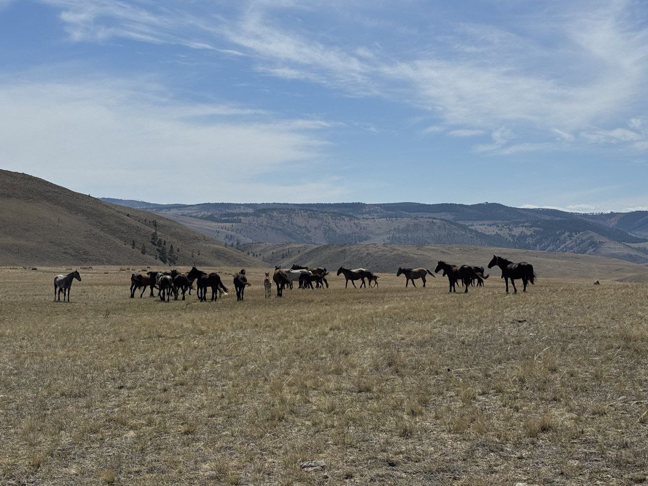 Ольхон круглый год, комфорт-тур (мини-группа) (6/37)