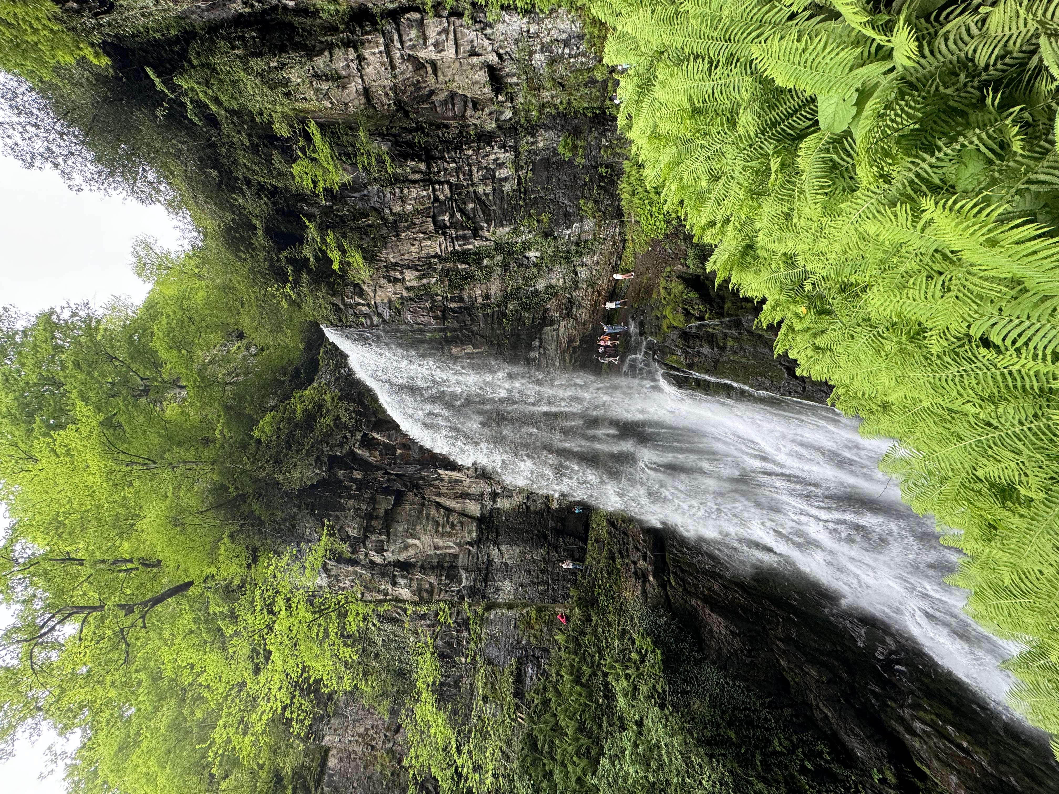 Гортензии и водопады Восточной Абхазии (3/14)