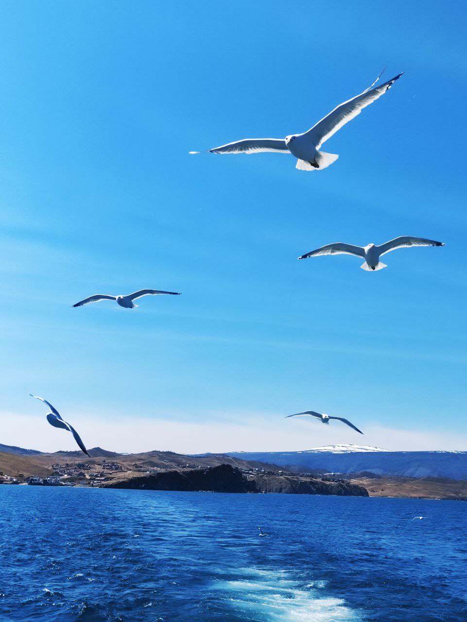 Ольхон круглый год, комфорт-тур (мини-группа) (12/37)