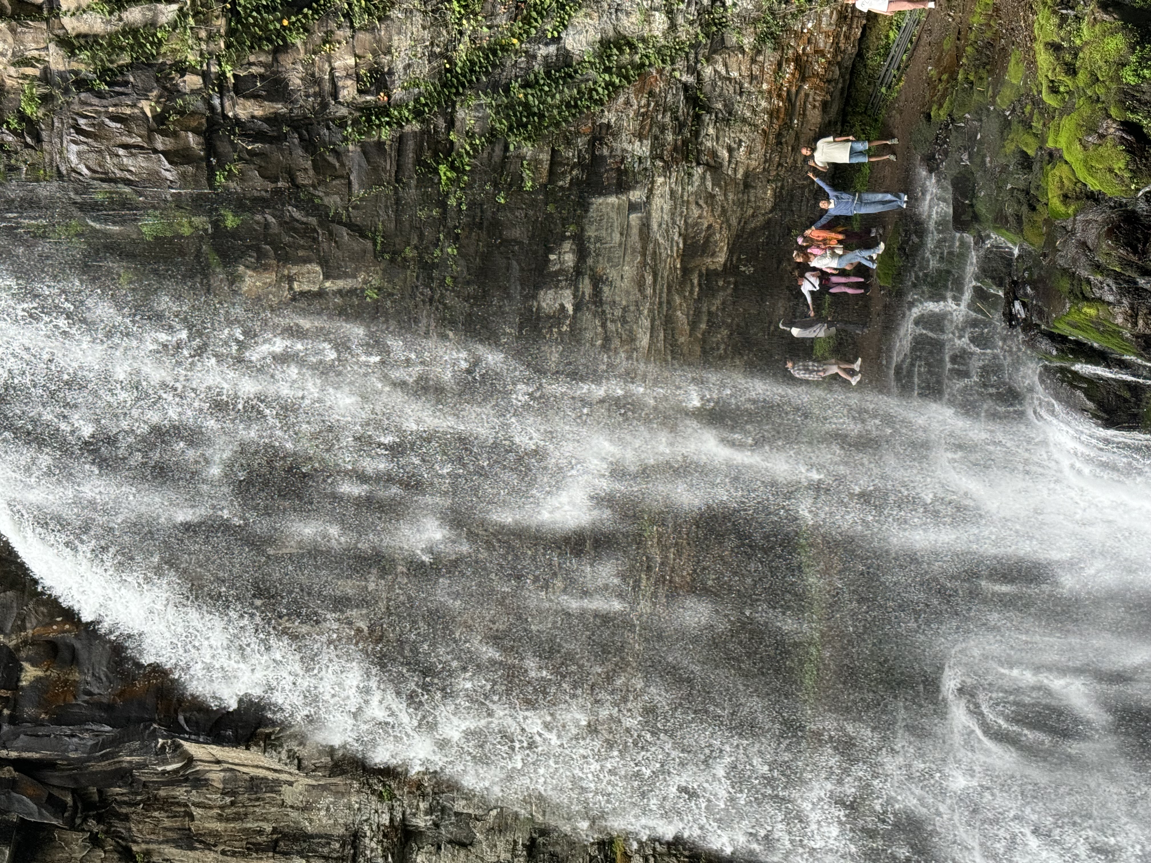 Гортензии и водопады Восточной Абхазии (8/14)