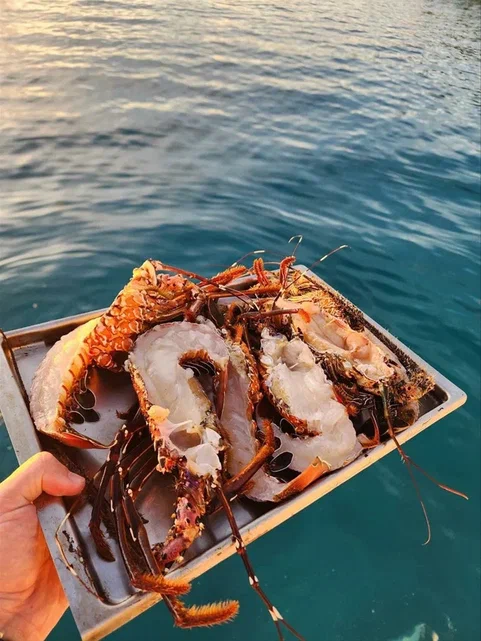 Ваше лучшее путешествие по уединенным уголкам Сейшел! (3/35)