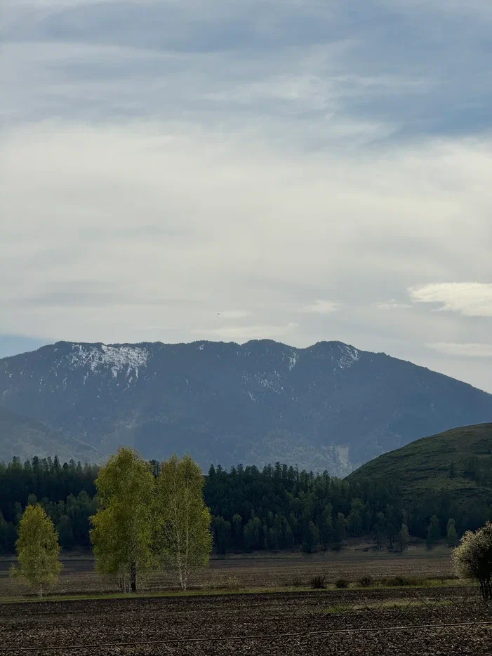 На высоте силы: Тренировочный тур на Алтае (8/11)