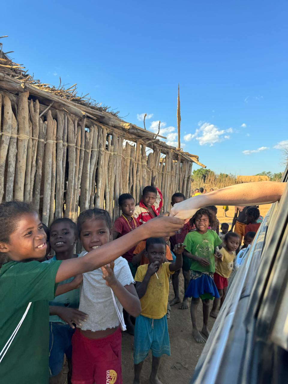 10 дней главные места Мадагаскара Цинги - Баобабы - Андасибе (13/57)