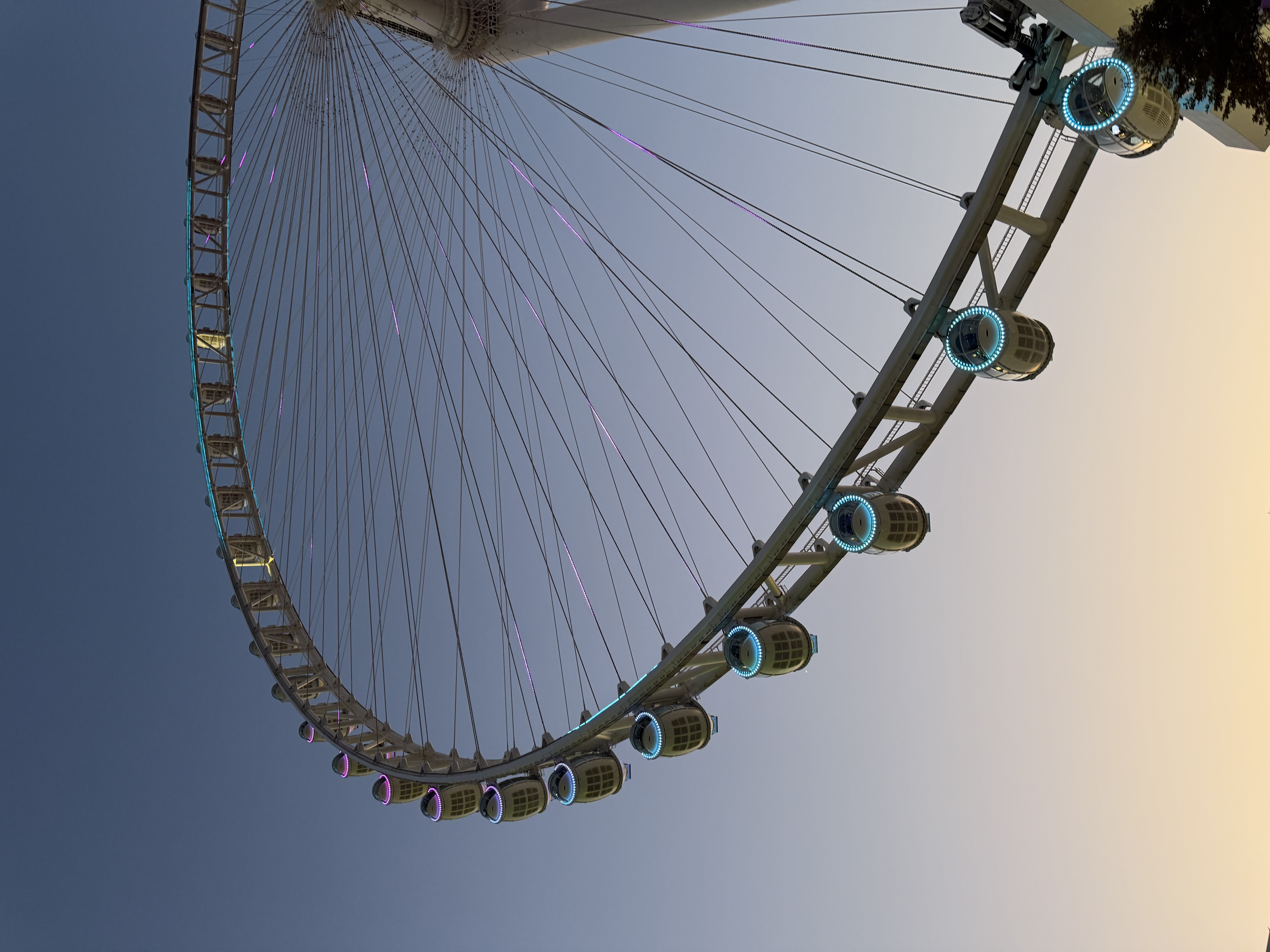 Красивый Девичник В Дубае (23/71)