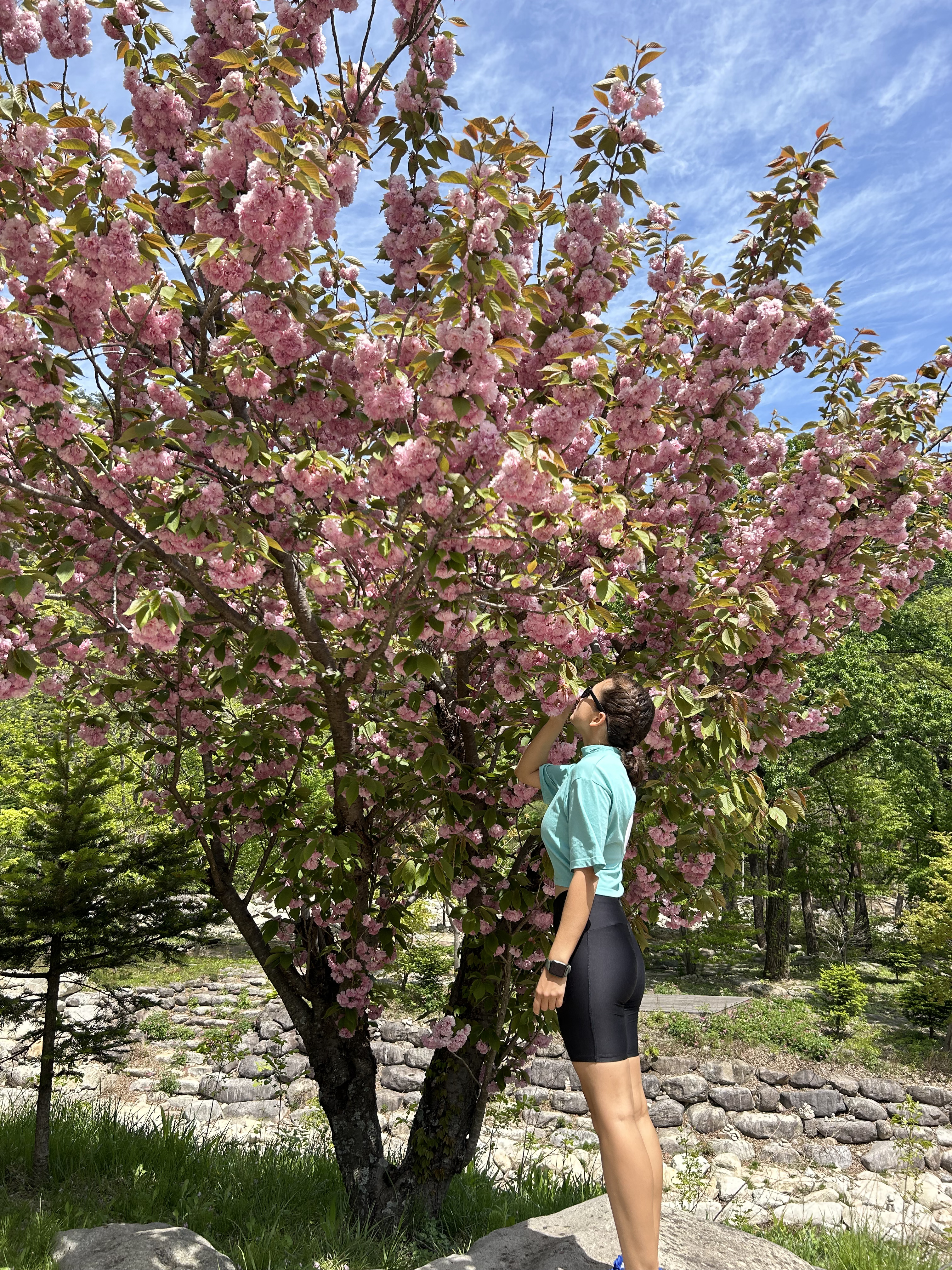 Южная Корея (4/40)