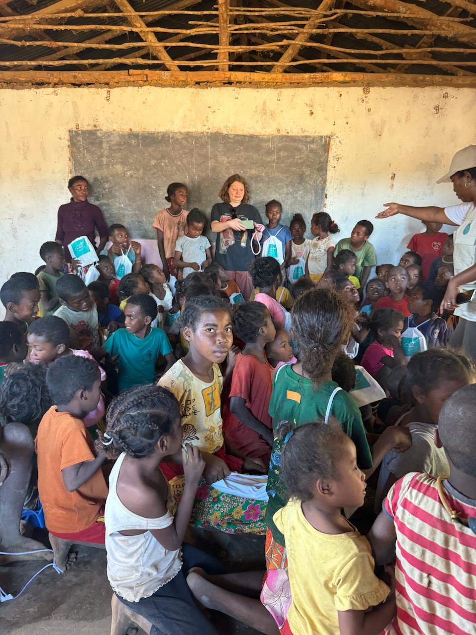 10 дней главные места Мадагаскара Цинги - Баобабы - Андасибе (11/57)