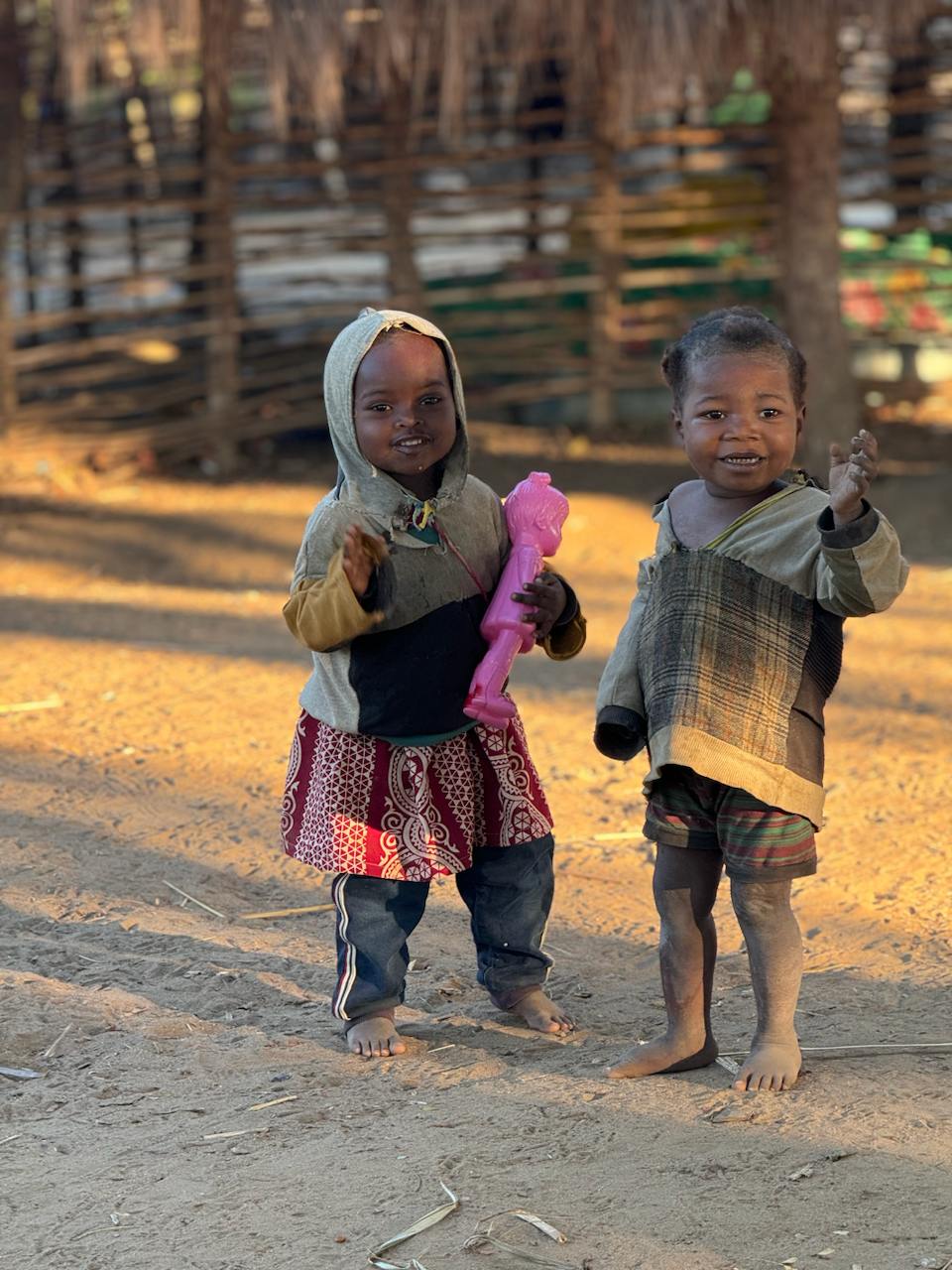 10 дней главные места Мадагаскара Цинги - Баобабы - Андасибе (14/57)