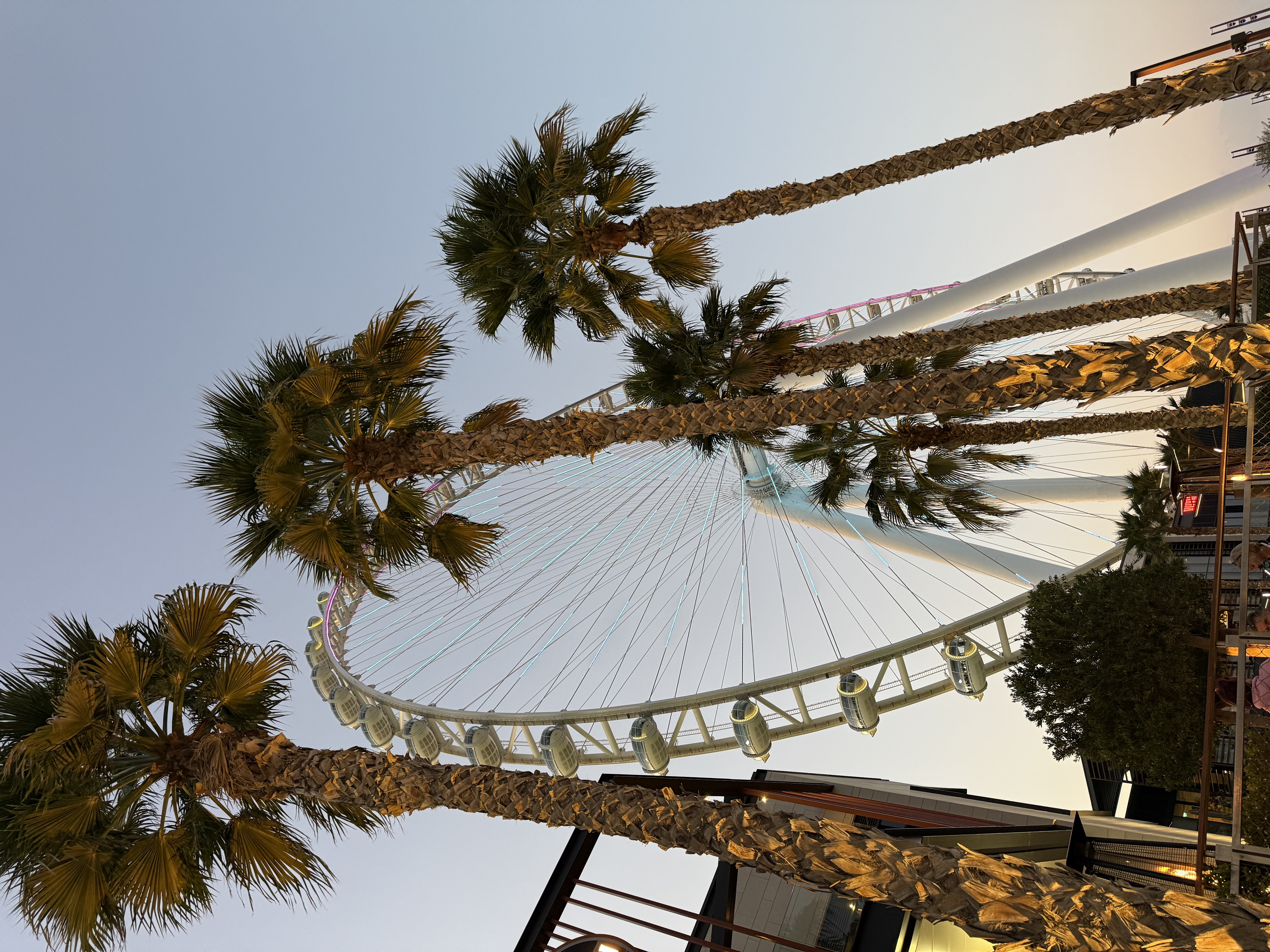 Красивый Девичник В Дубае (8/71)