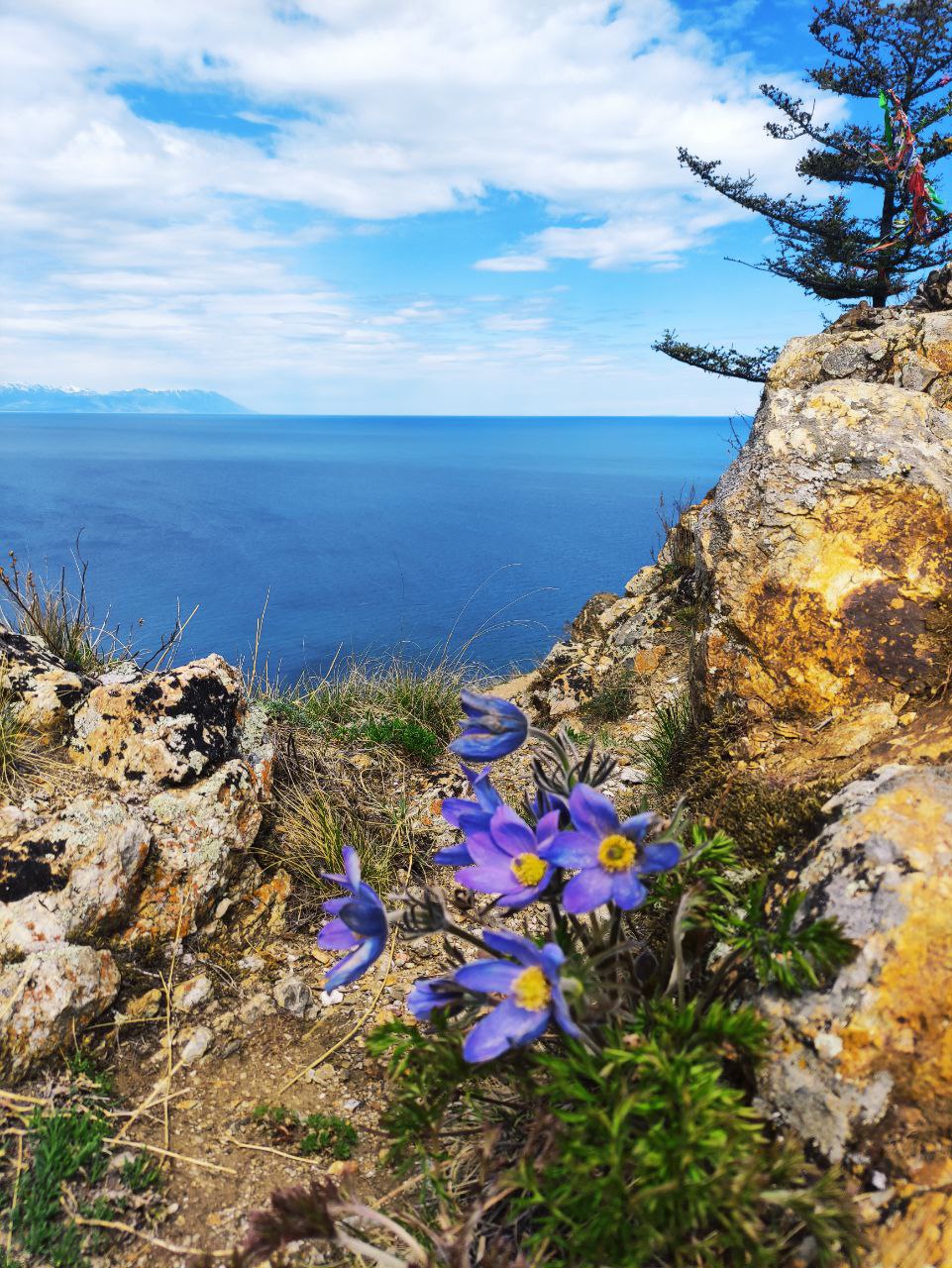Летние краски острова Ольхон в мини-группе. Комфорт-тур. (21/38)