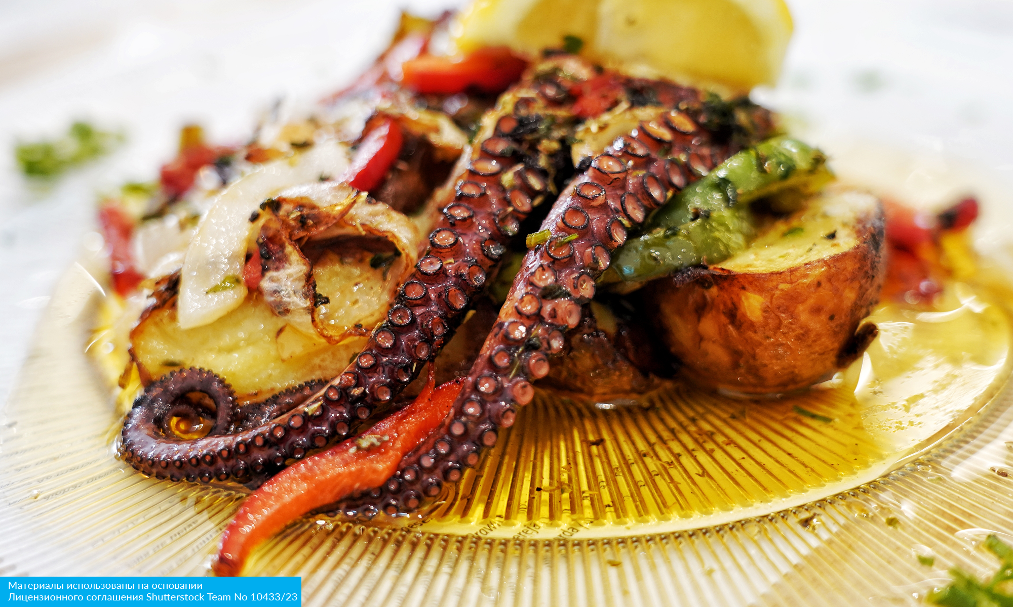 От Дуная до Атлантики с авиаперелетом из Спб (11/25)