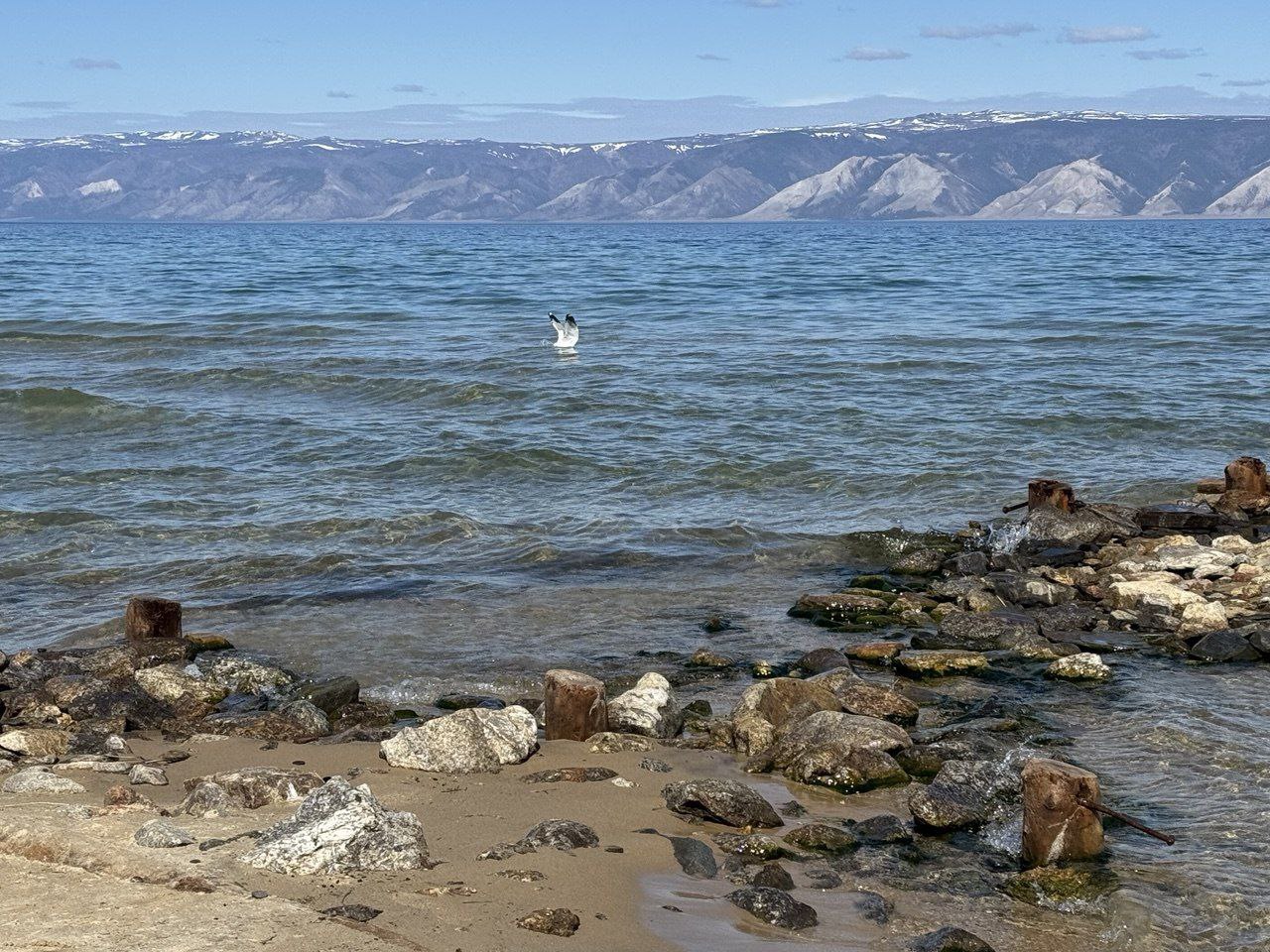 Летние краски острова Ольхон в мини-группе. Комфорт-тур. (18/38)