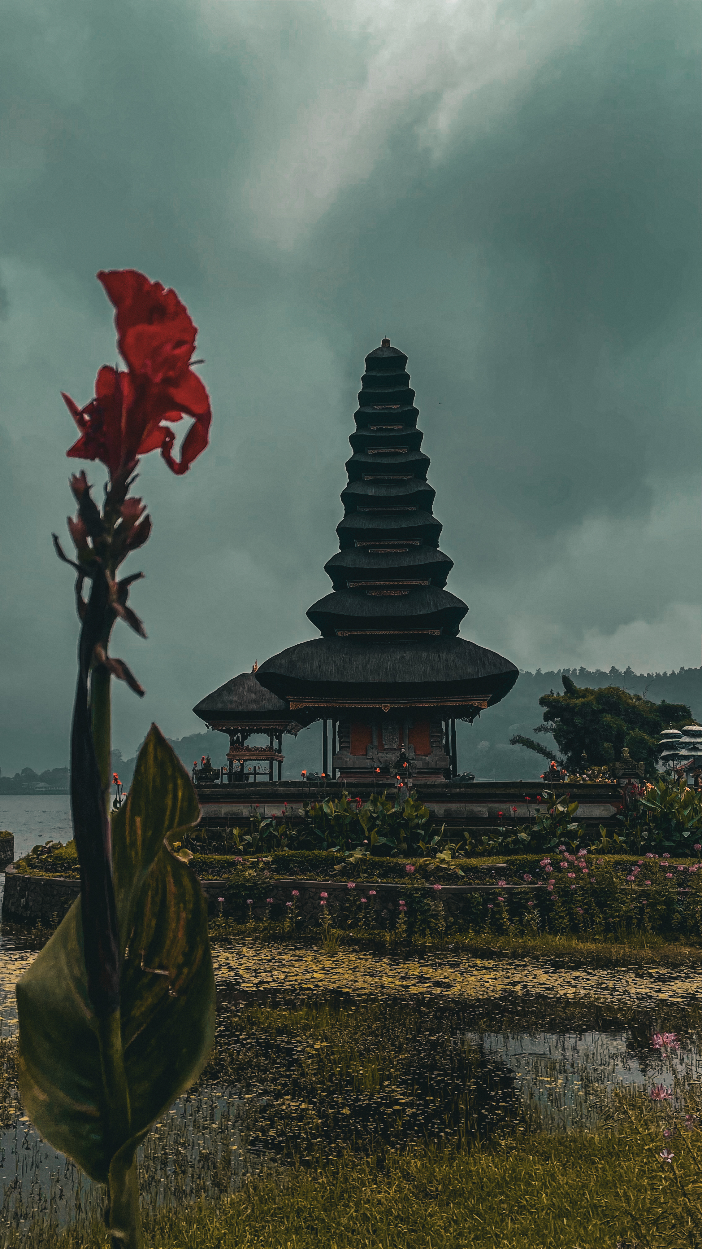 Бали вне времени. Мистическое путешествие силы (5/17)