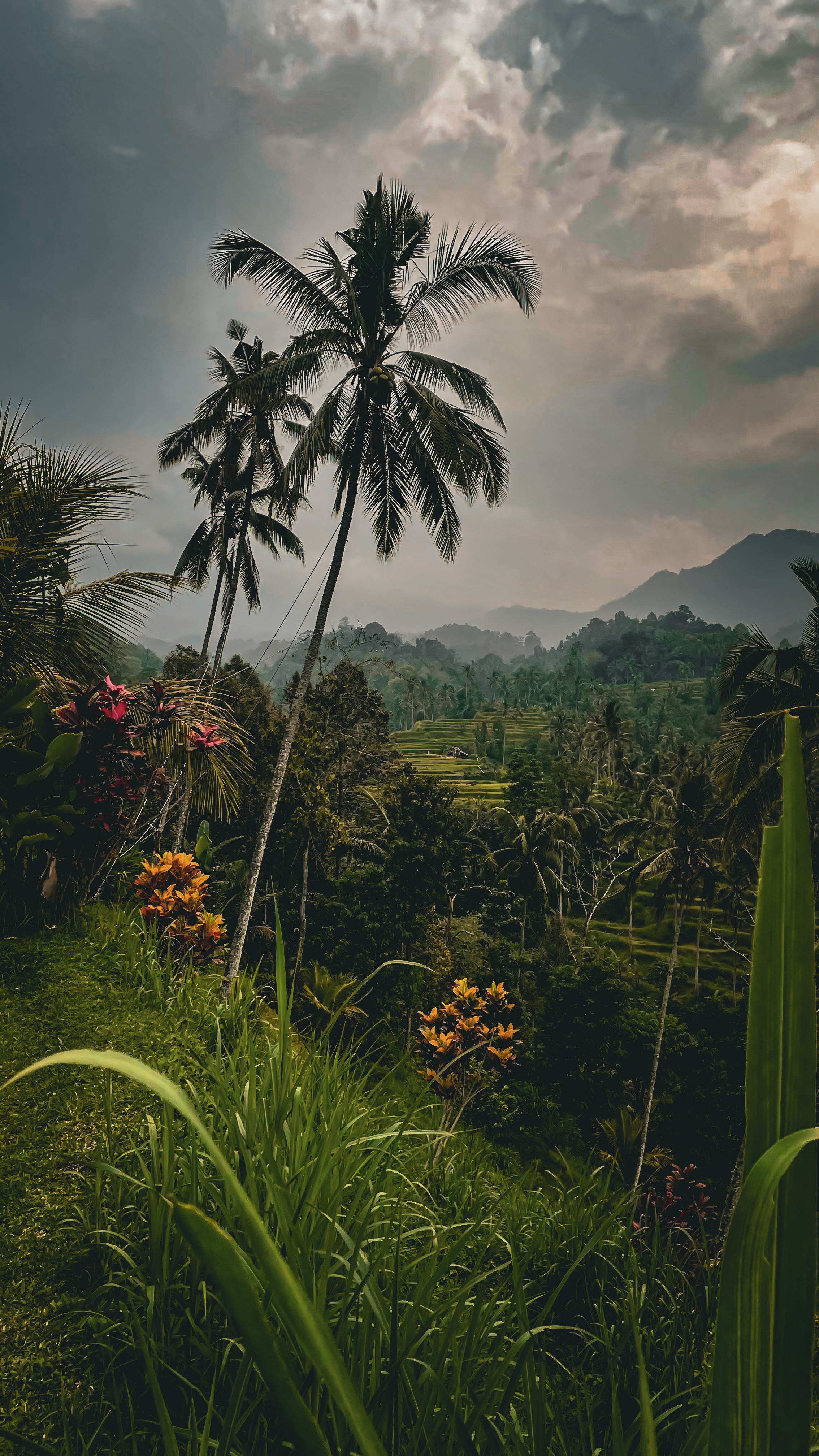 Бали вне времени. Мистическое путешествие силы (3/17)