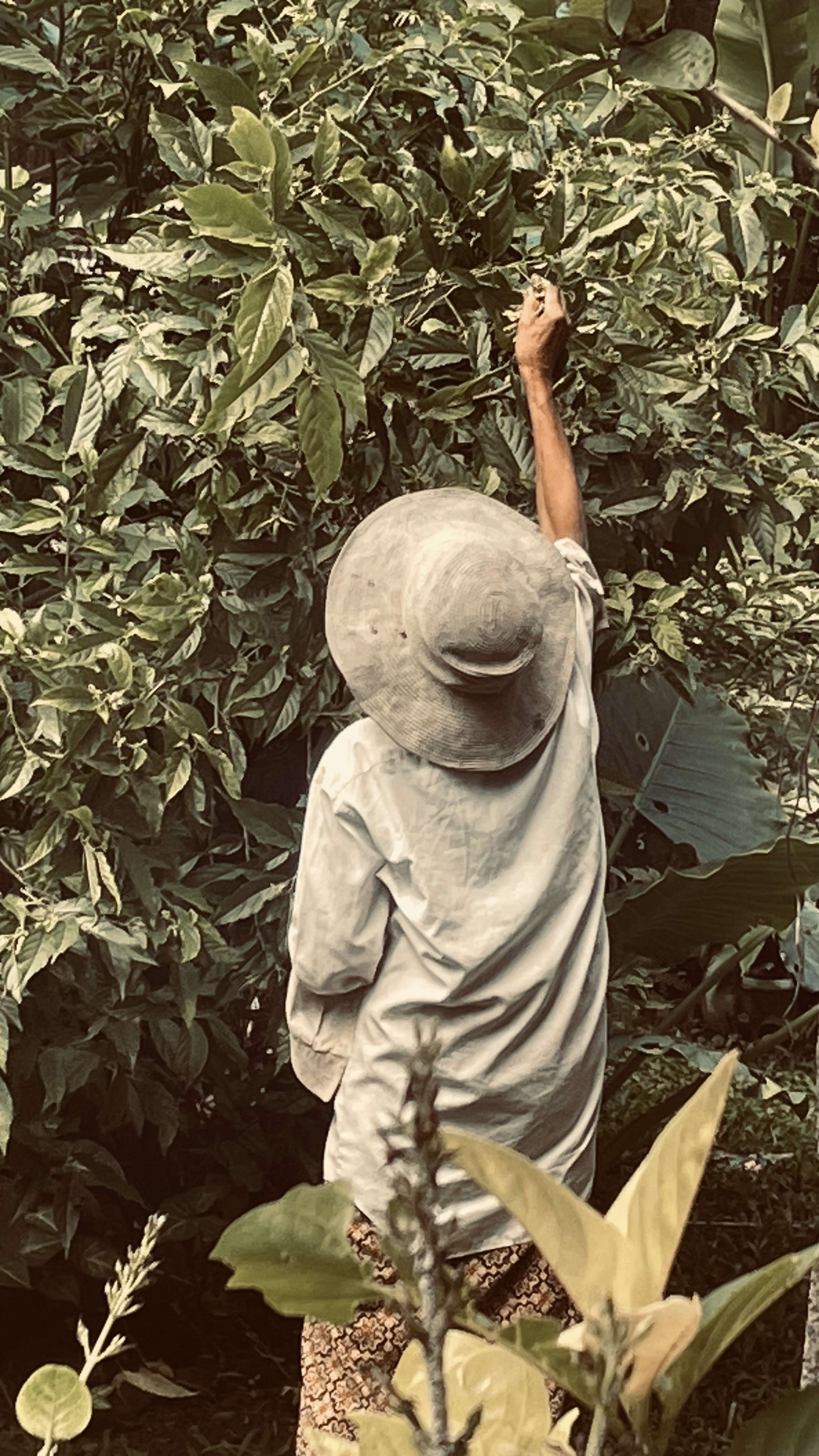 Бали вне времени. Мистическое путешествие силы (8/17)