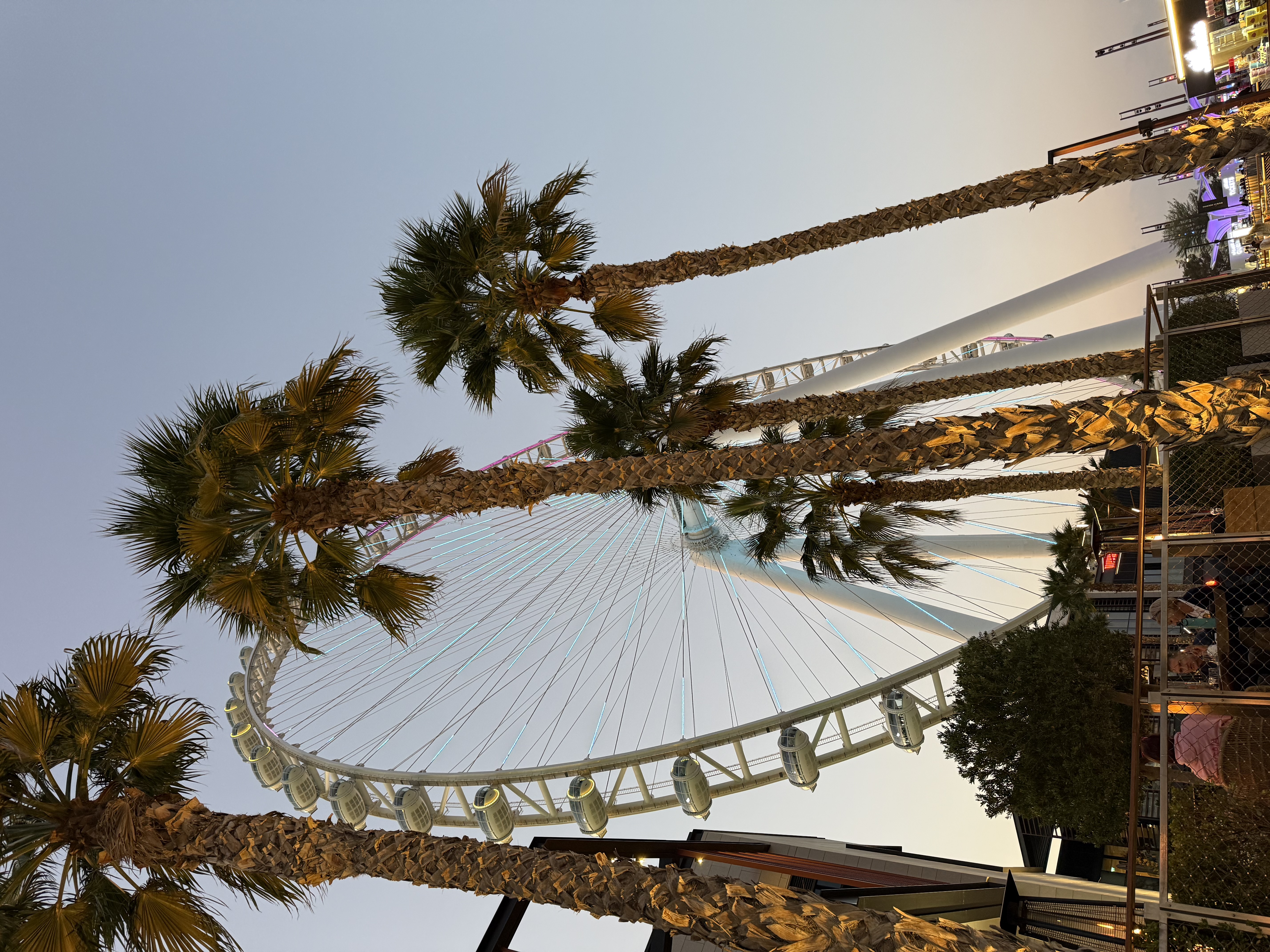 Красивый Девичник В Дубае (27/71)