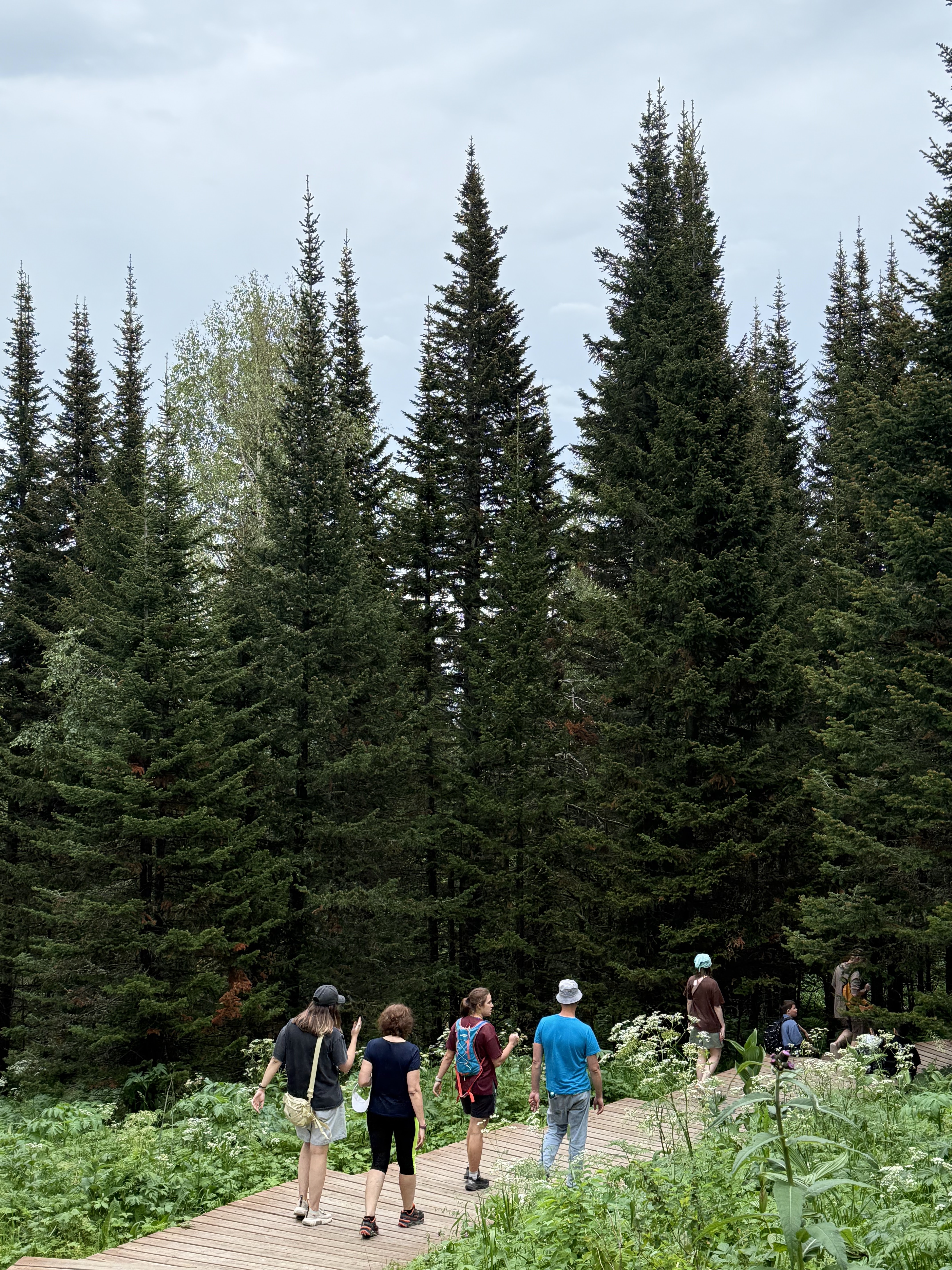 Тур на Алтай. От Горно-Алтайска до Монголии на автомобиле (12/15)