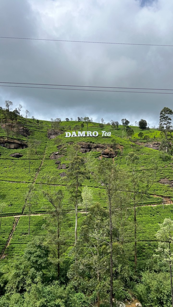 Комфортная Шри-Ланка. 6 дней по острову и отдых на побережье (4/28)