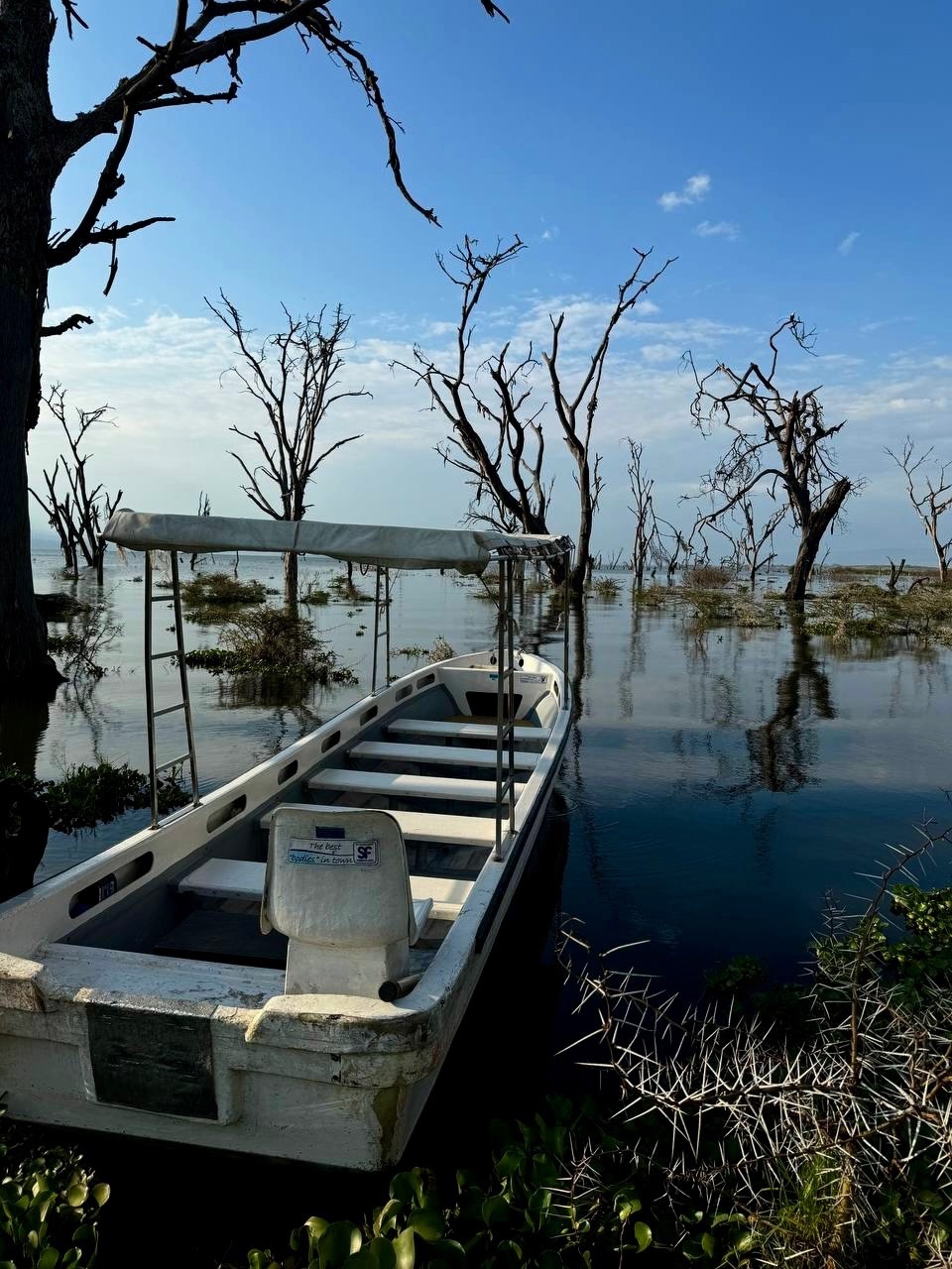 Водное сафари + кормление пеликанов