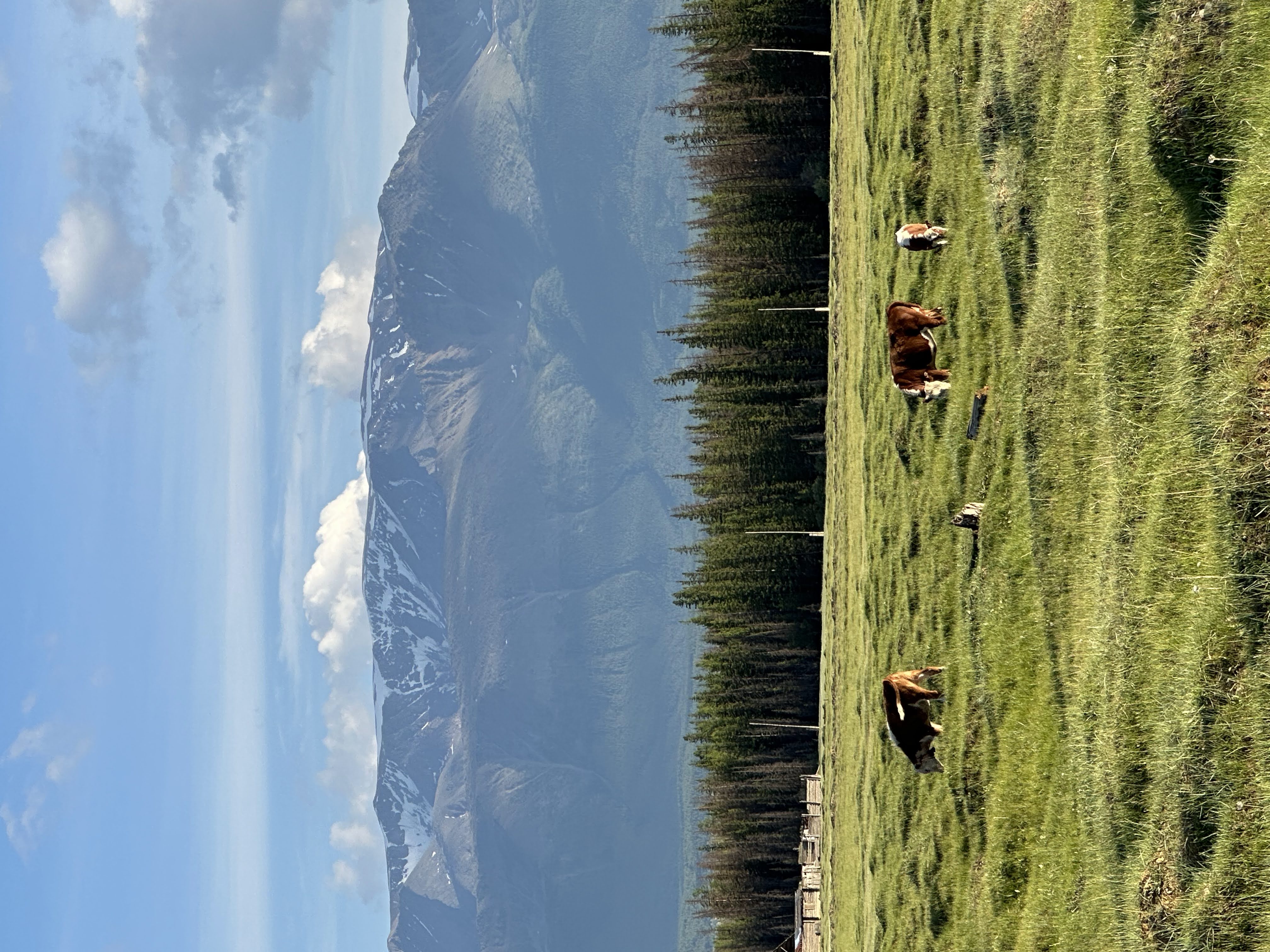 Тур на Алтай. От Горно-Алтайска до Монголии на автомобиле (8/15)