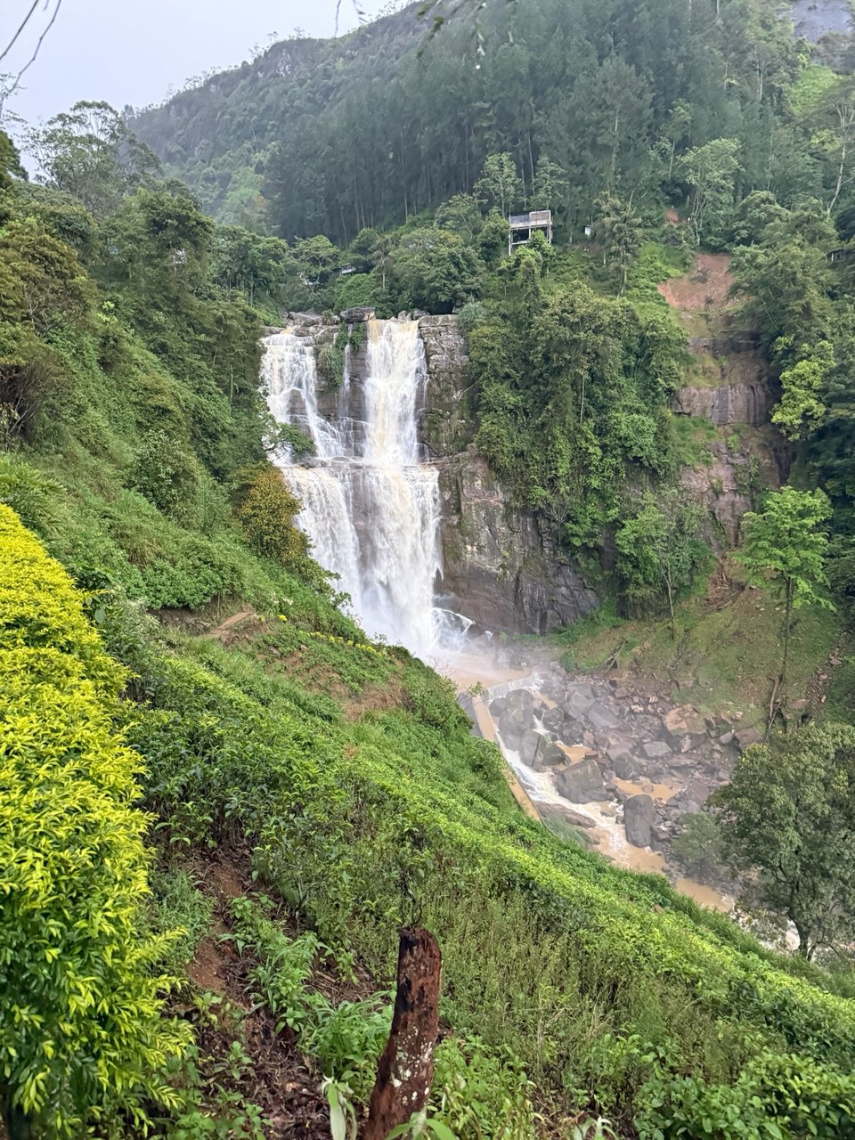 Комфортная Шри-Ланка. 6 дней по острову и отдых на побережье (5/28)