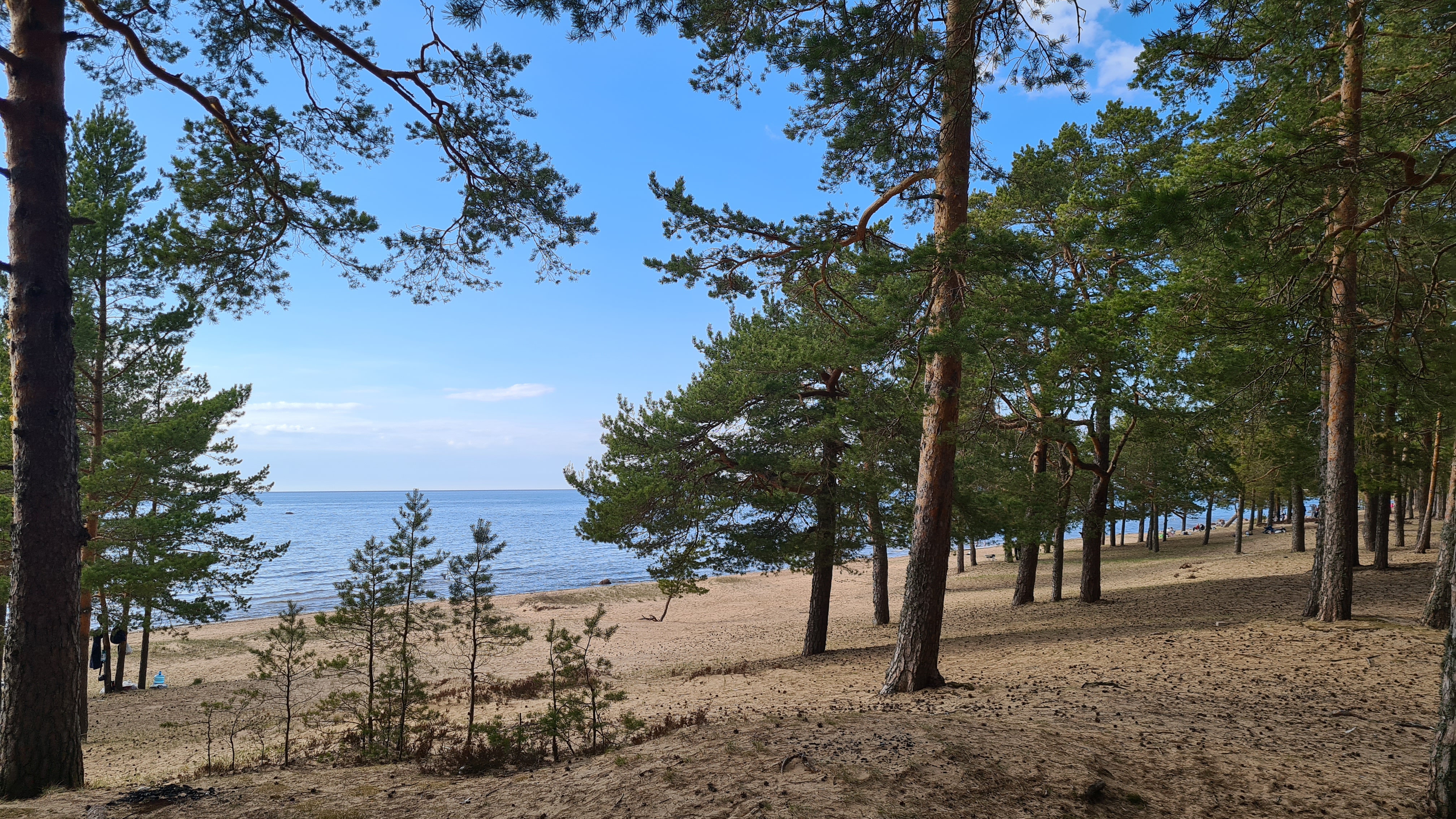 Культурная вечеринка в Санкт-Петербурге
