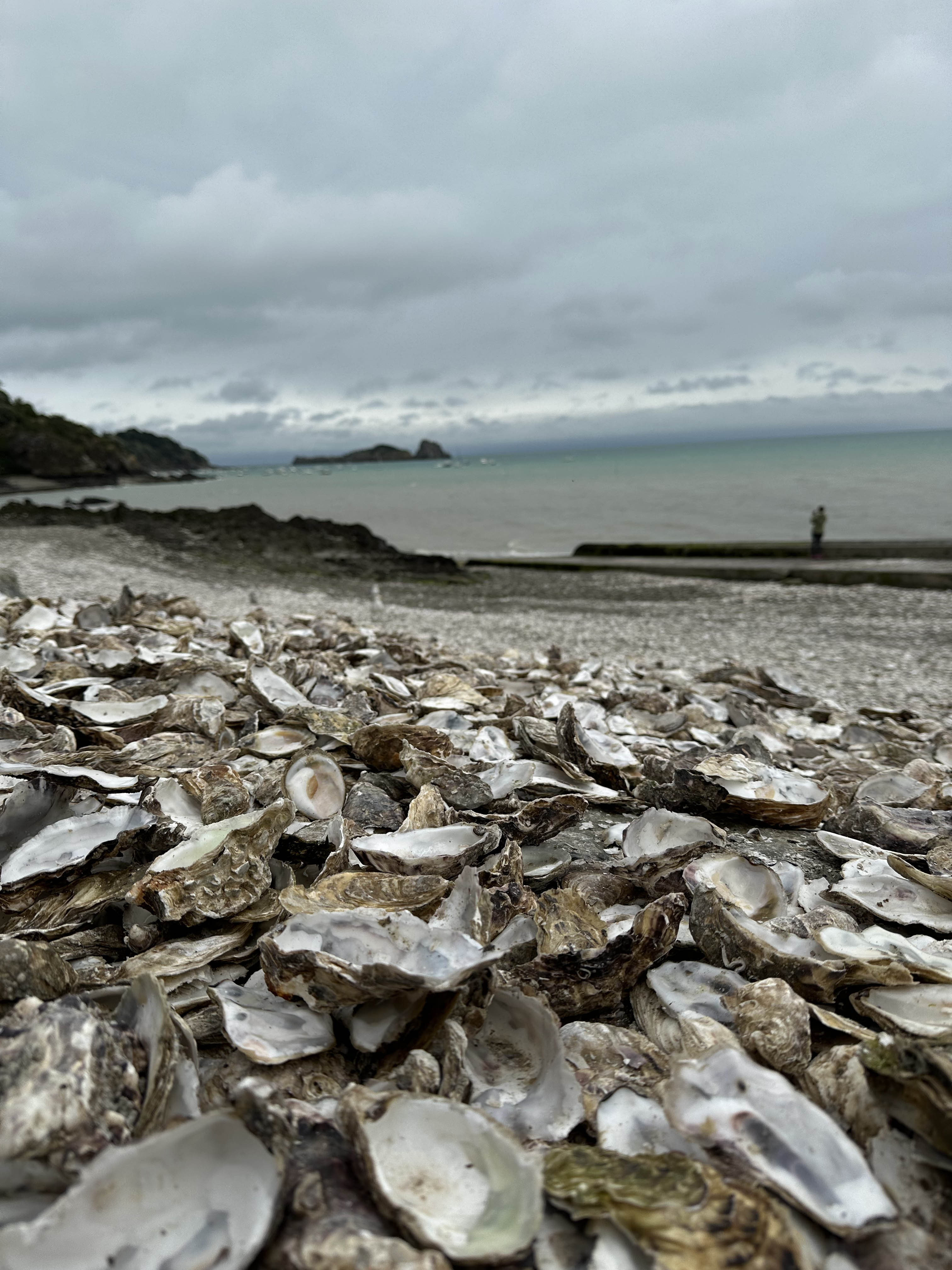 Авторский тур в Нормандию, Бретань и замки Луары (17/30)