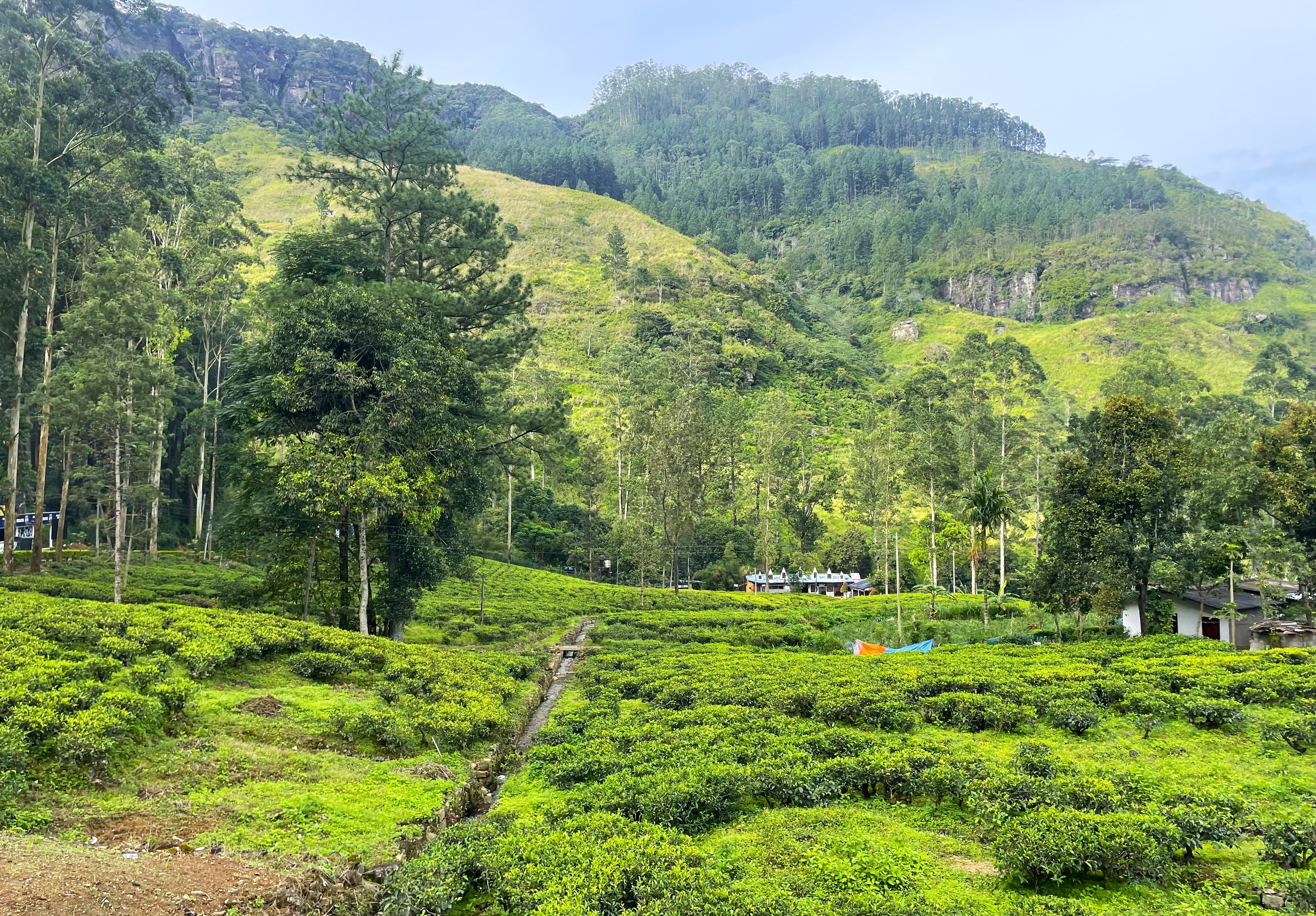 Шри-Ланка: остров, серфинг, океан (13/60)