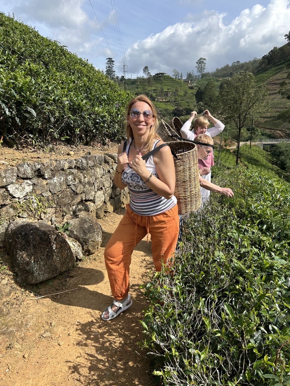 Активный Тур: Вся Шри-Ланка За 6 Дней (34/63)