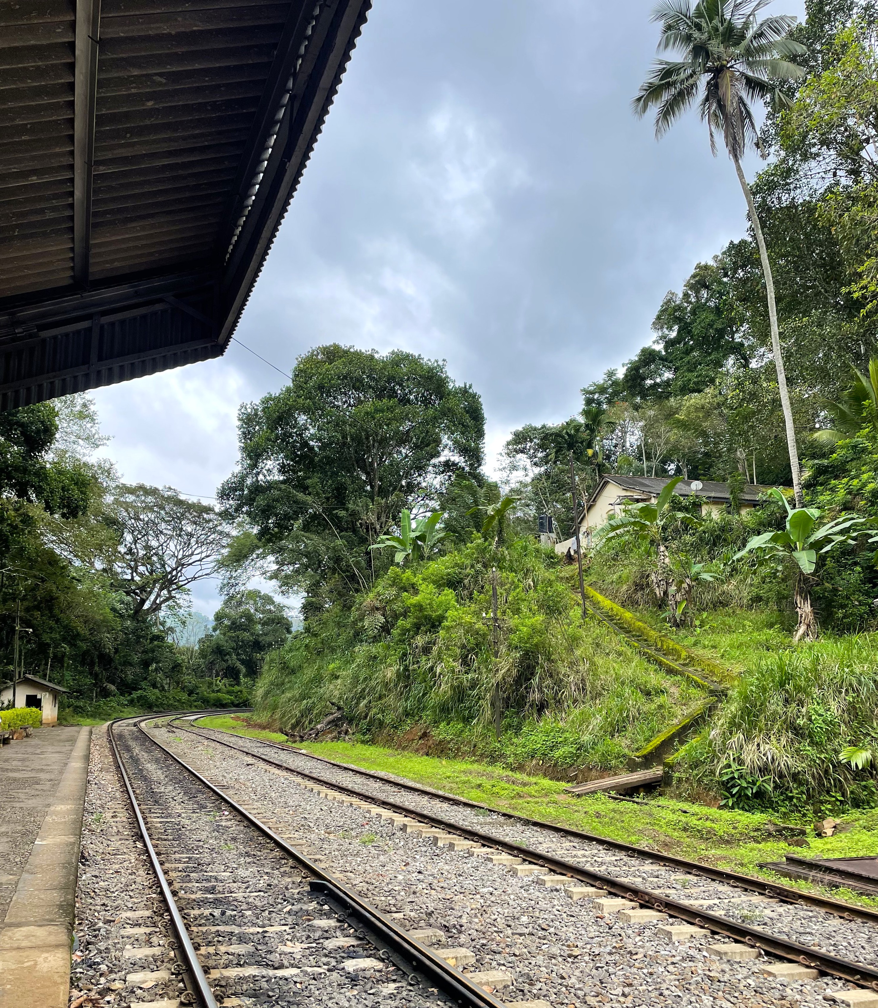 Шри-Ланка: остров, серфинг, океан (9/60)