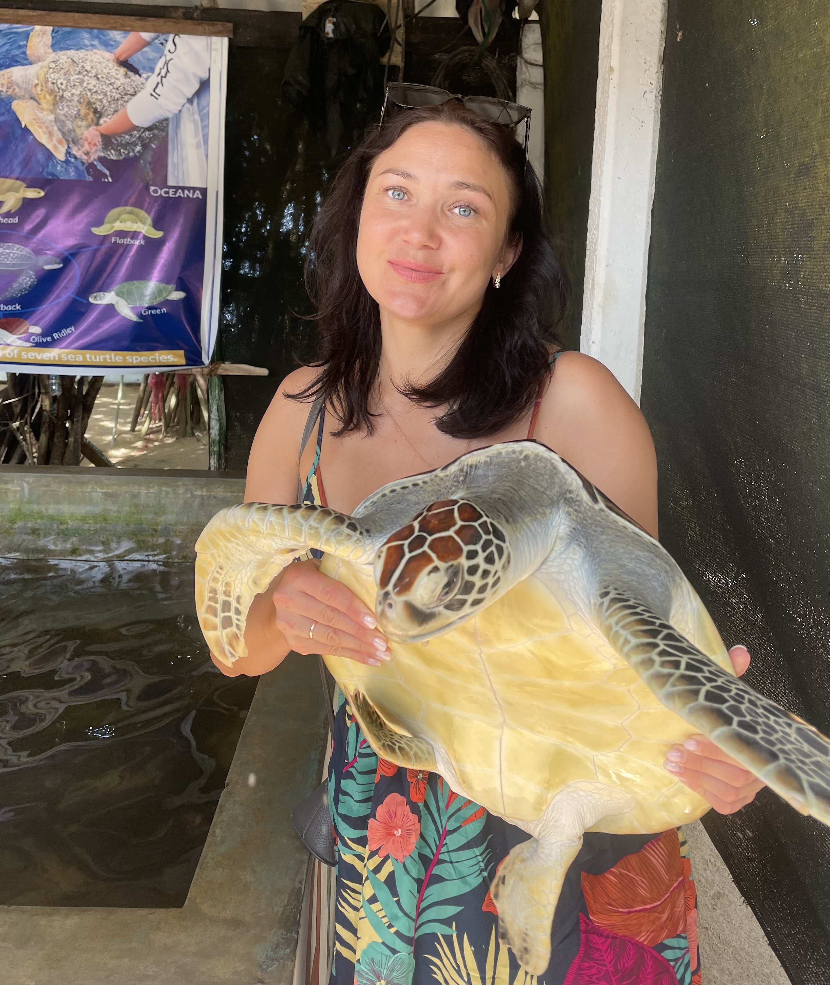 Шри-Ланка: остров, серфинг, океан (12/60)