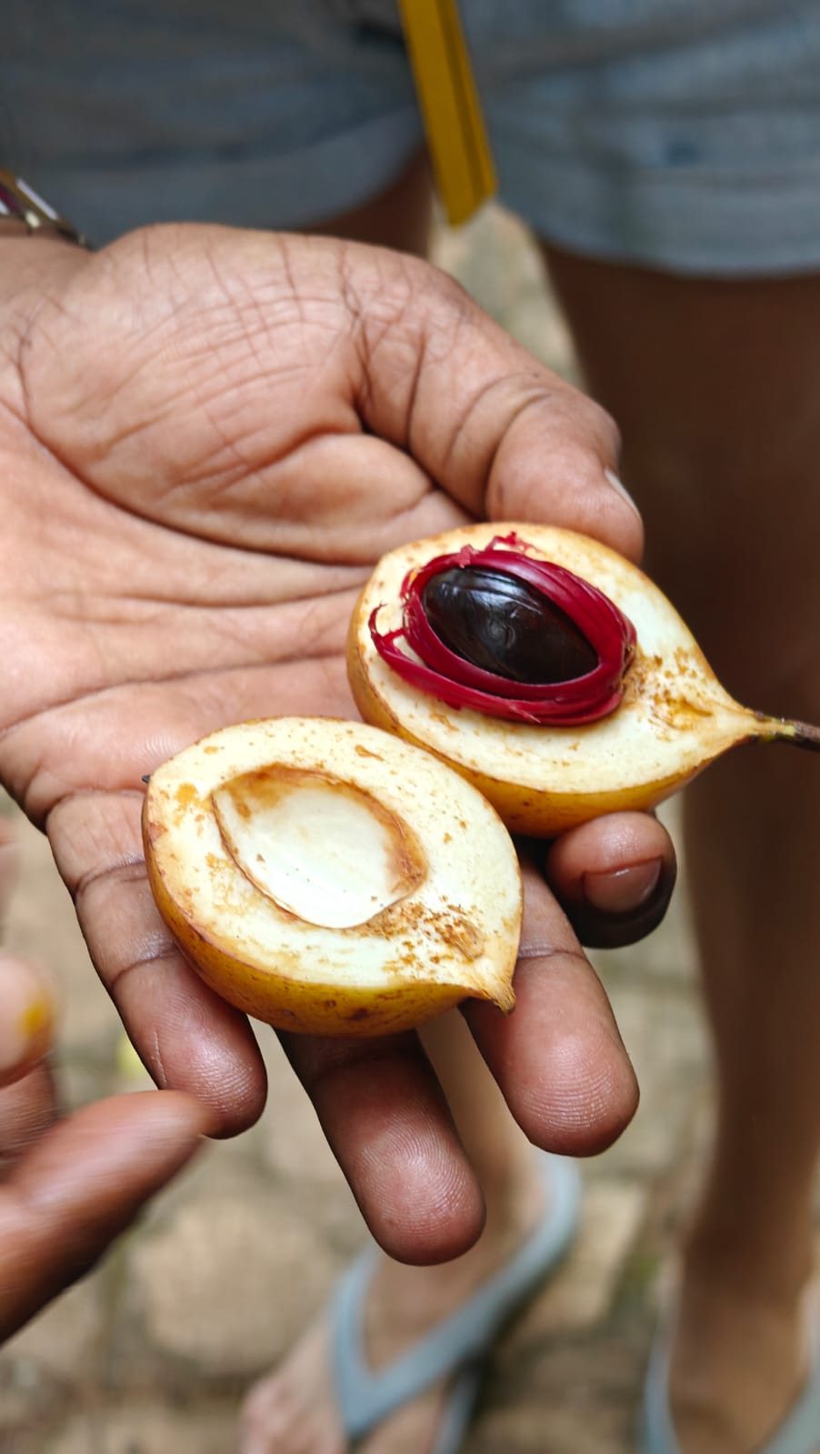 Активный Тур: Вся Шри-Ланка За 6 Дней (37/63)