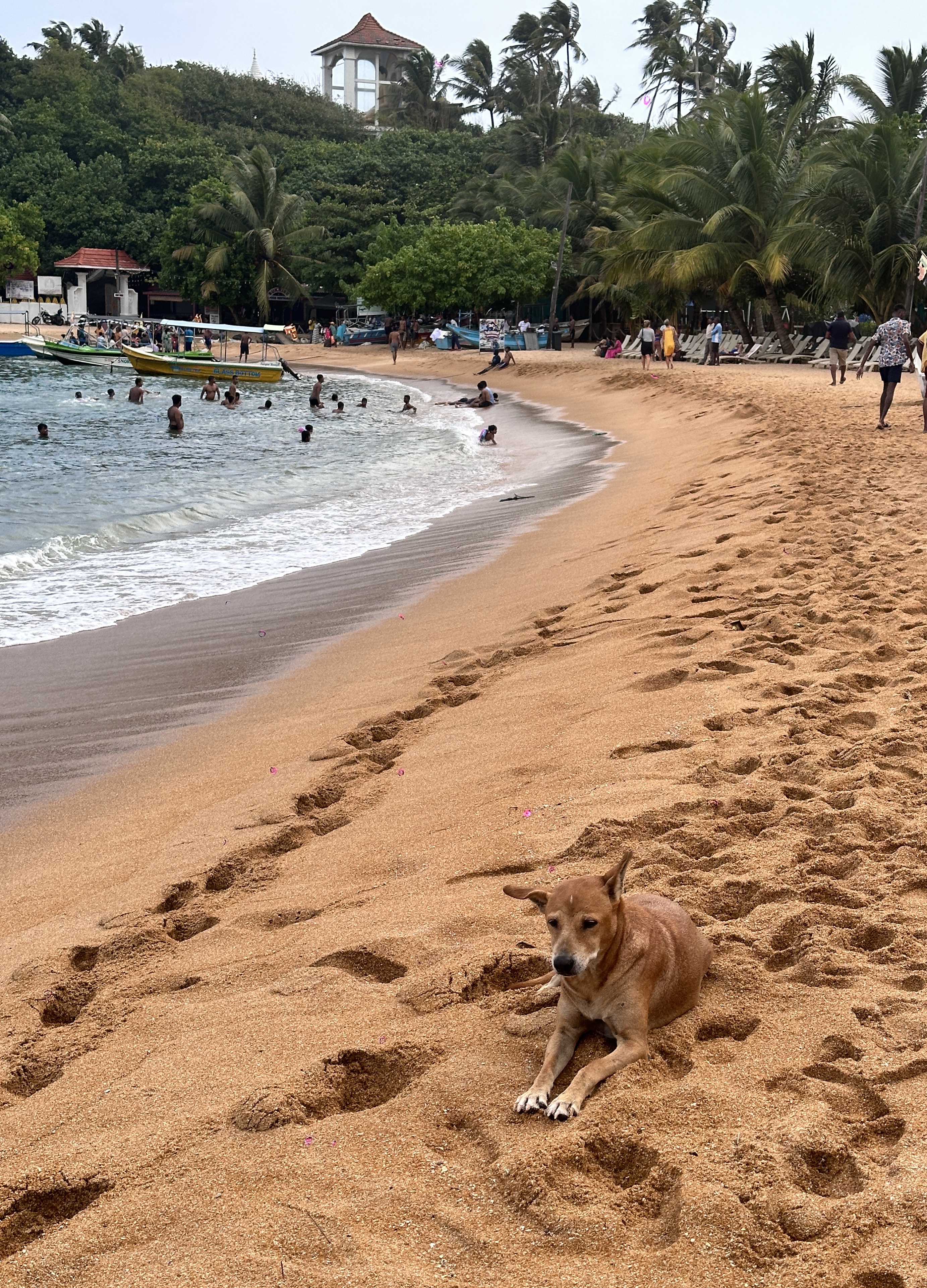 Тур 8 дней (5 активных и три дня на побережье) (38/65)