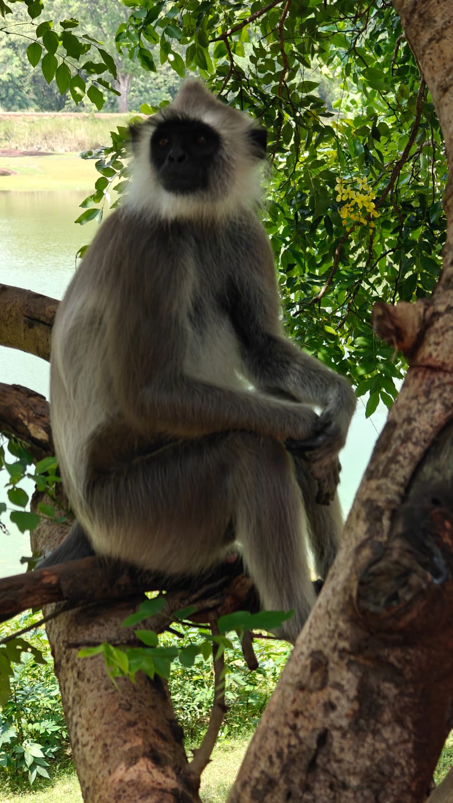 Тур 8 дней (5 активных и три дня на побережье) (42/65)