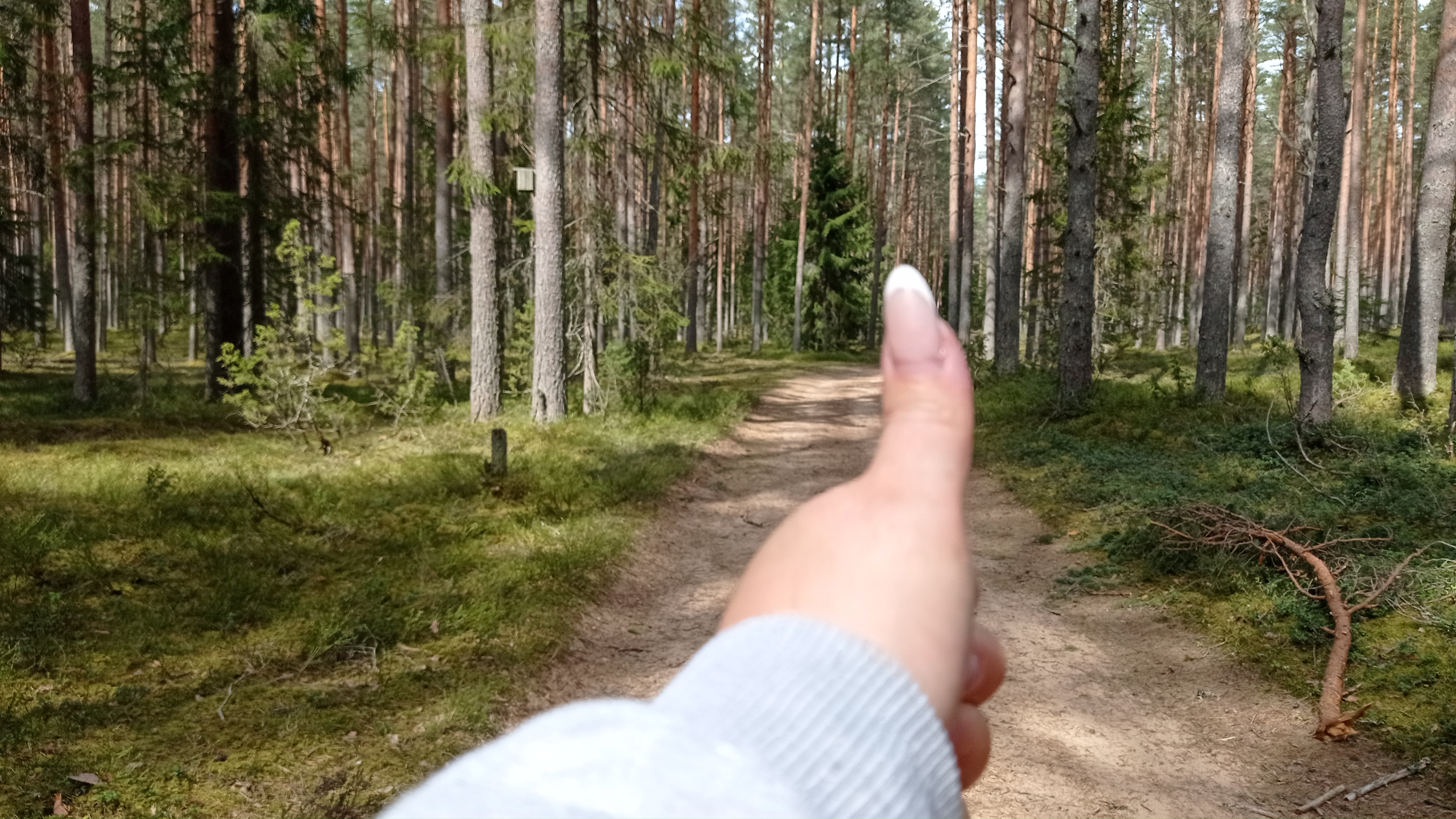 Тур на Селигер с круизом  и Нилова Пустынь (18/30)