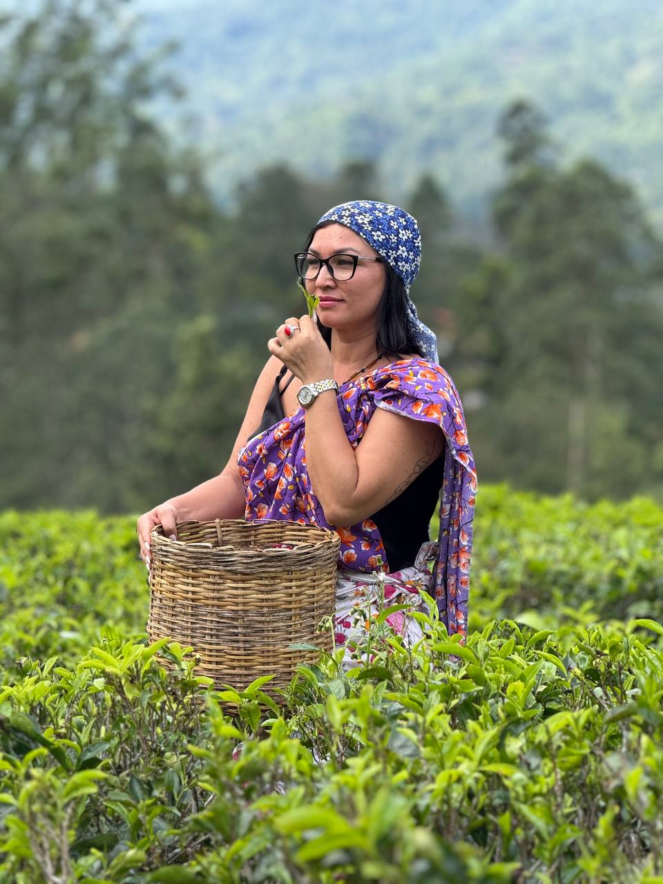 Активный Тур: Вся Шри-Ланка За 6 Дней (22/63)