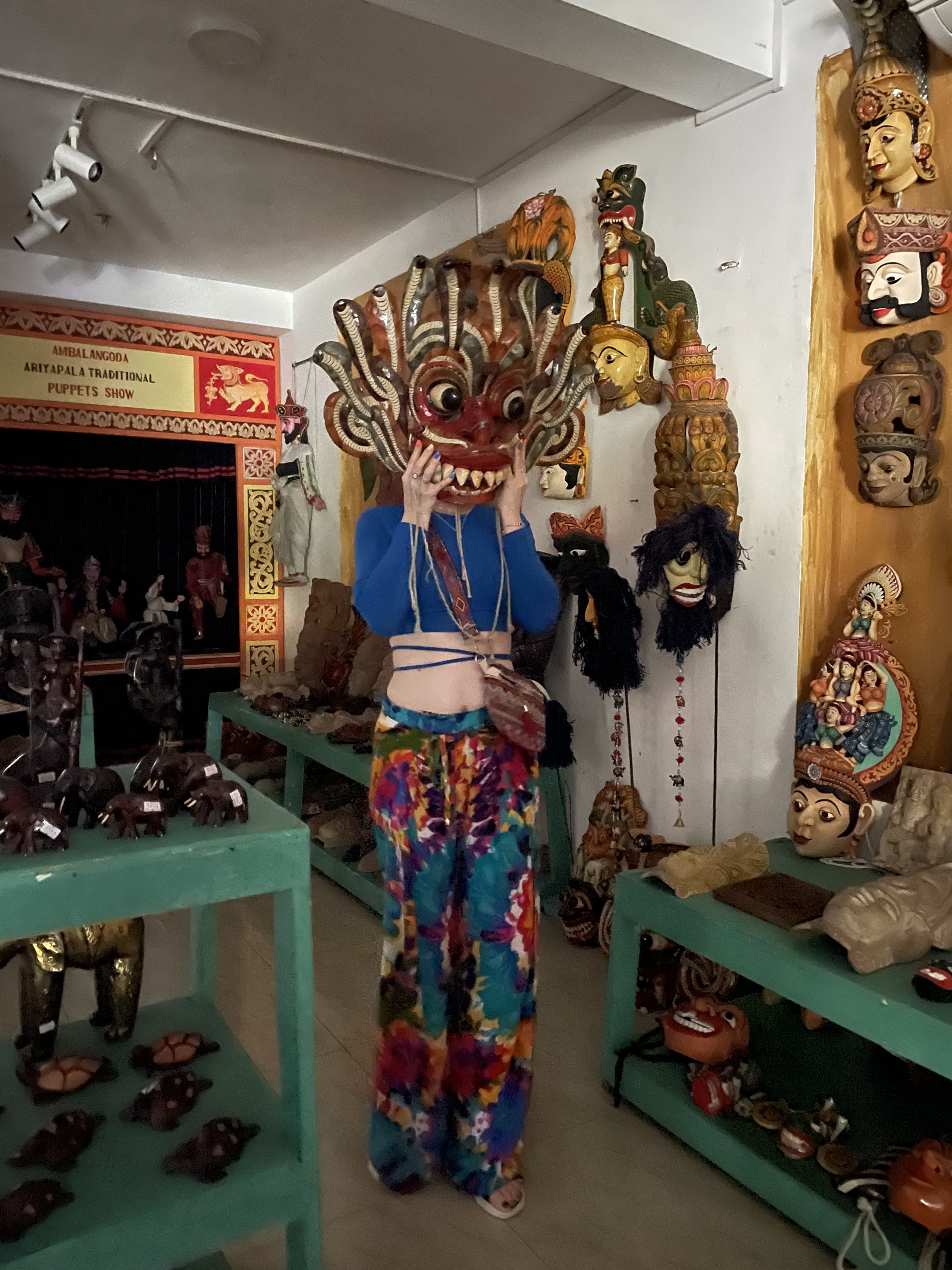 Шри-Ланка: остров, серфинг, океан (16/60)