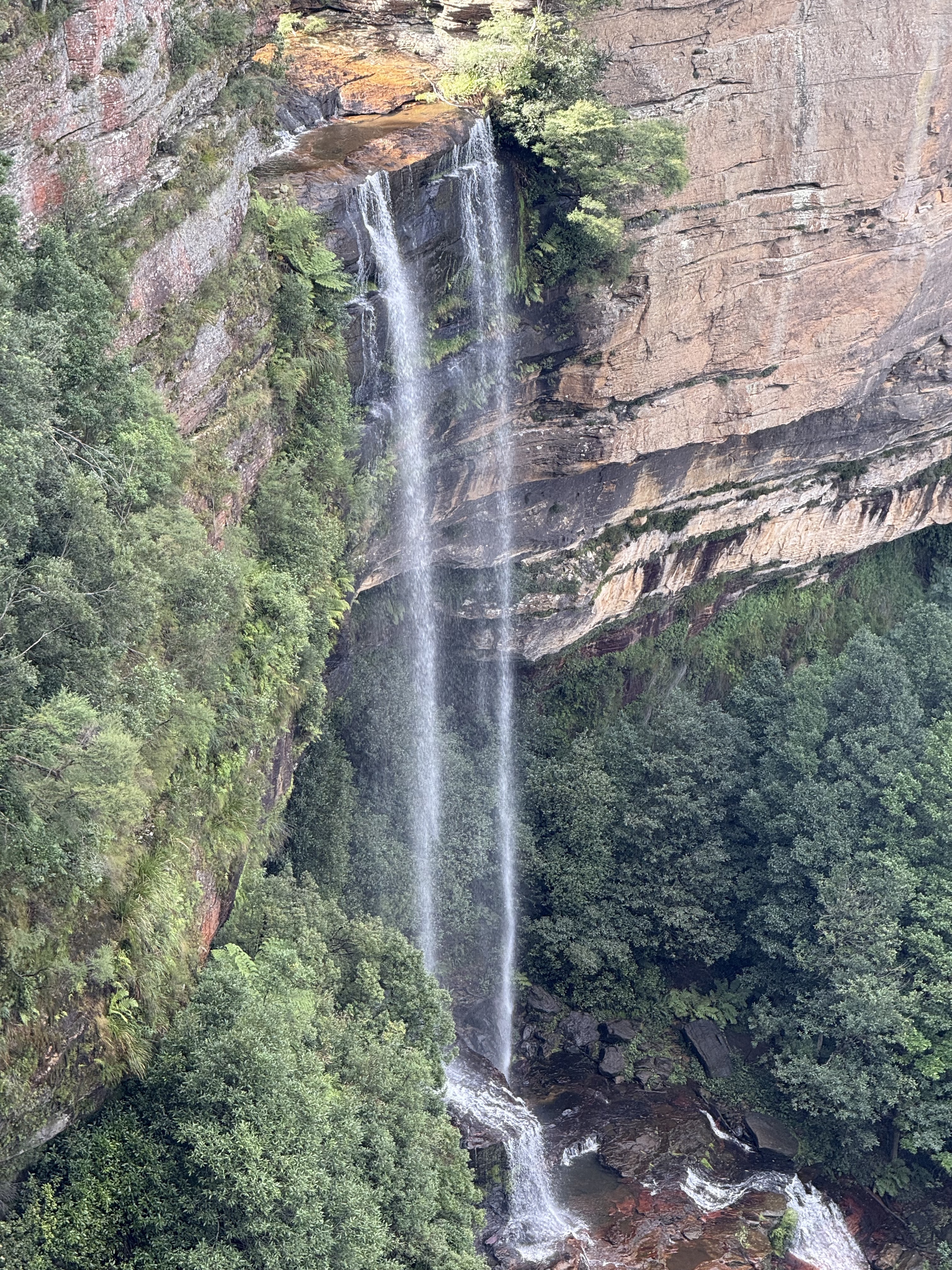 Путешествие в Австралию 2026 (12/43)