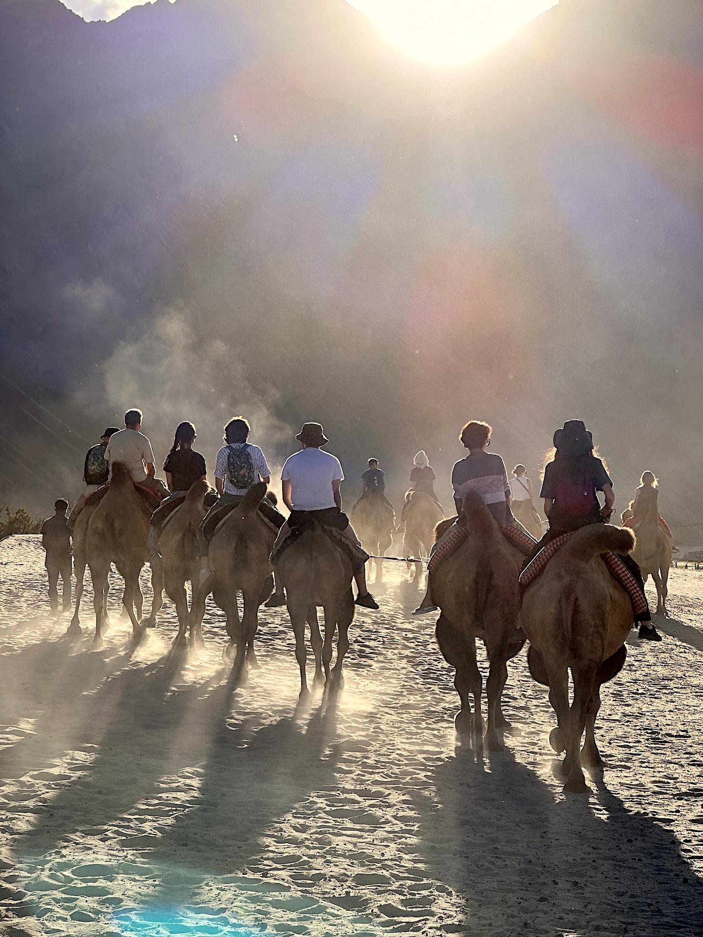 Путешествие в Ладакх (Индия, Малый Тибет) (5/30)