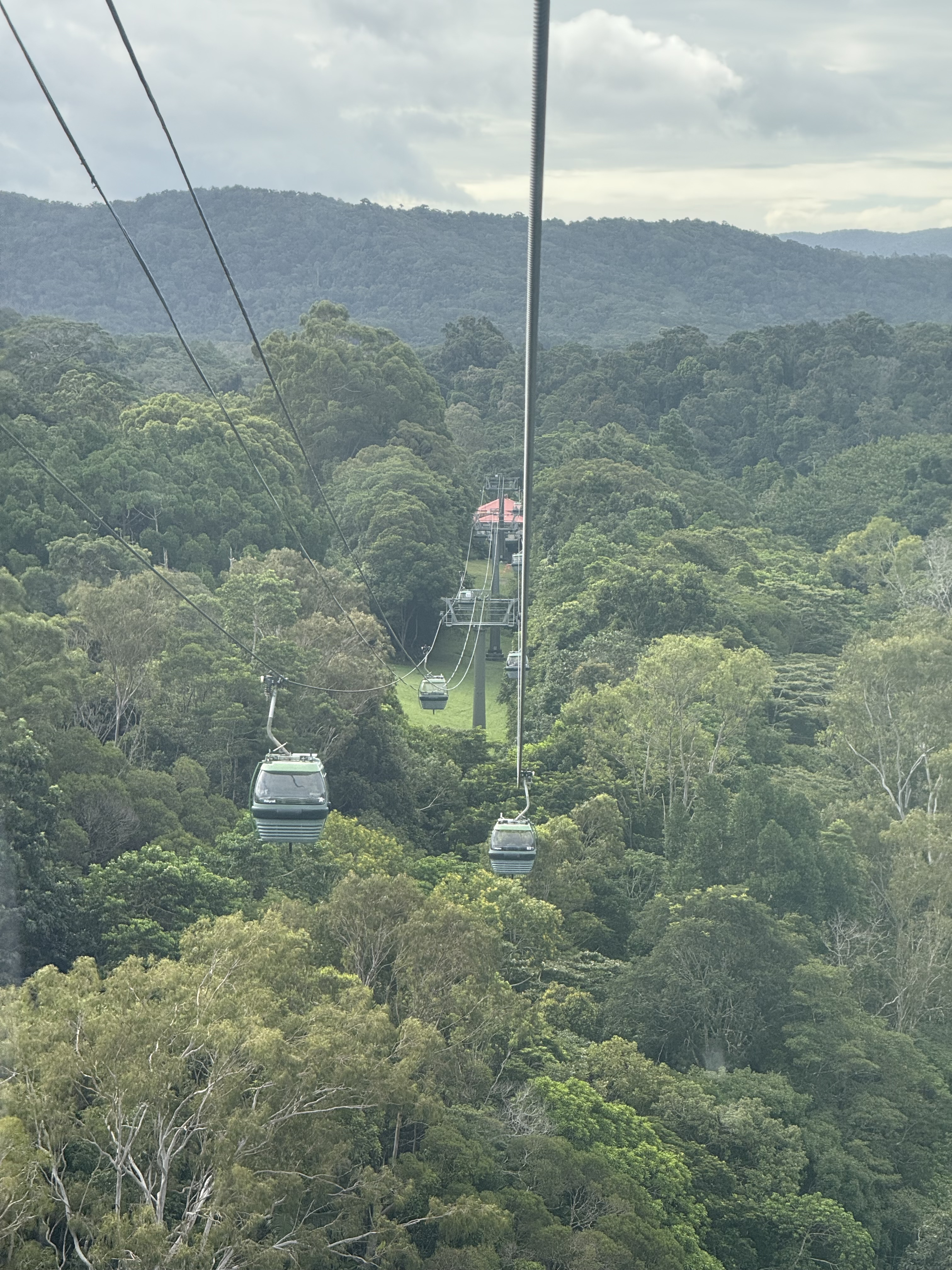 Индивидуальный тур в Австралию (20/35)