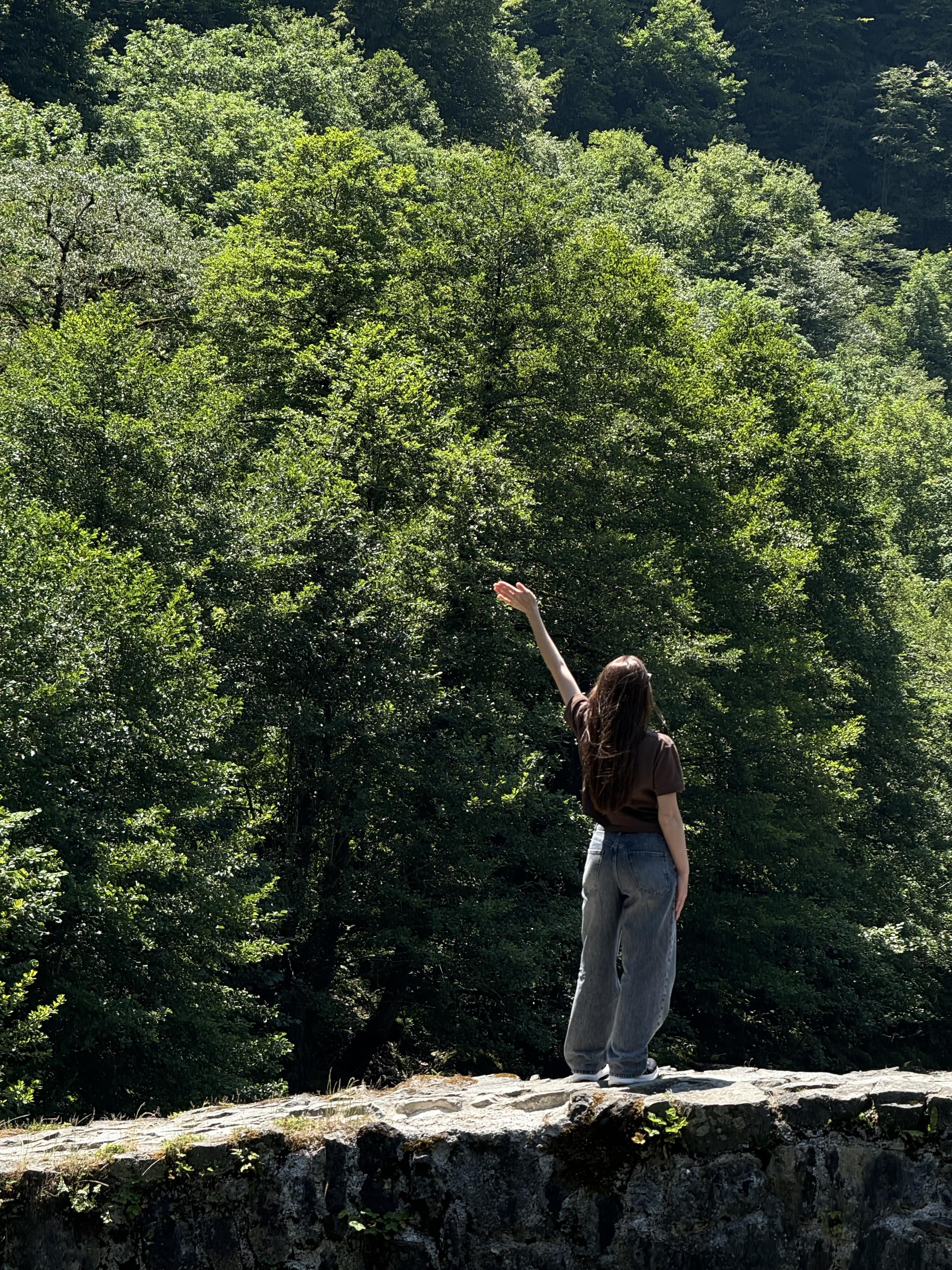 Все Включено! Экскурсия по горной Аджарии + мастер-класс и шоу грузинских танцев+обед (17/44)