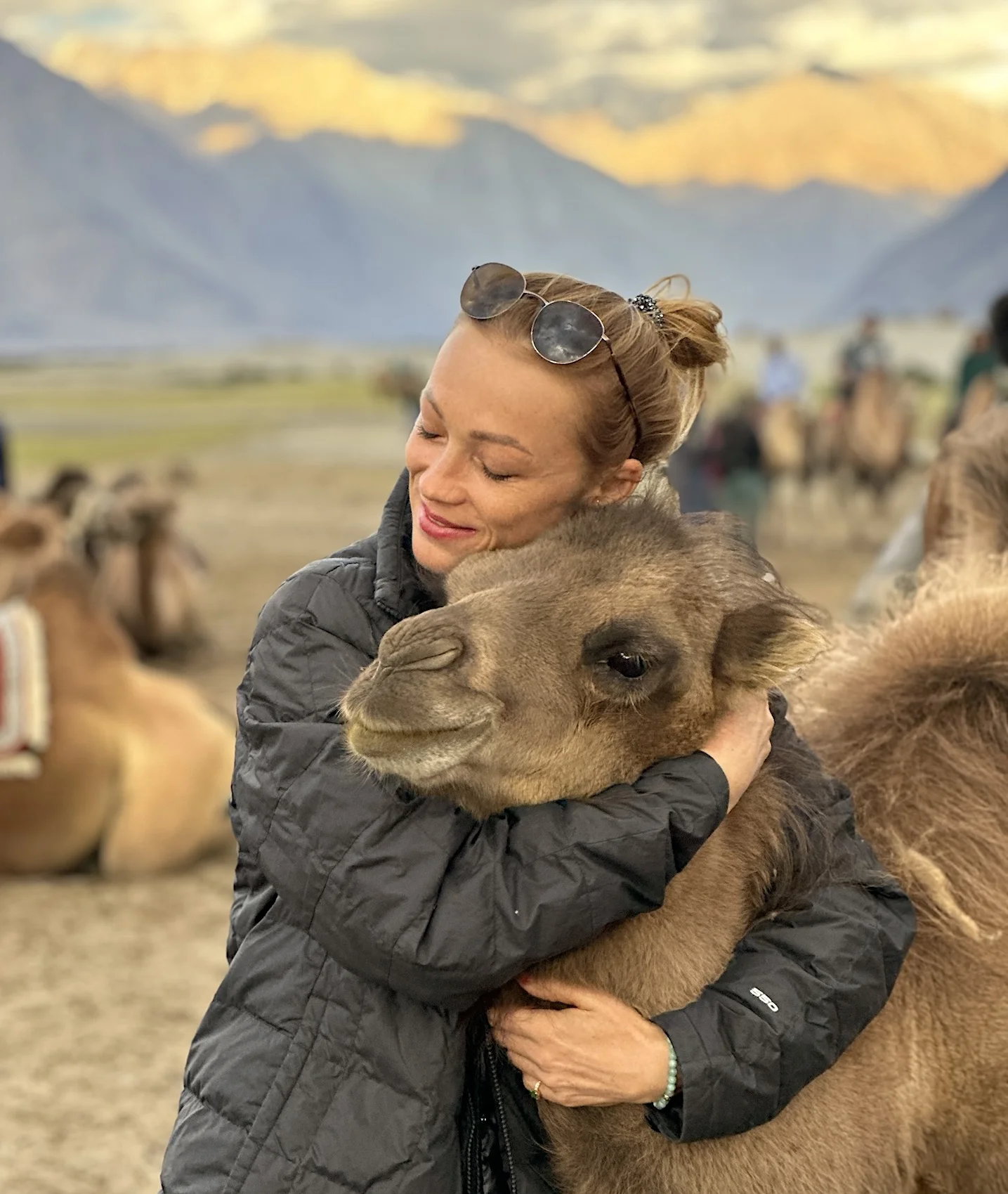 Путешествие в Ладакх (Индия, Малый Тибет) (6/30)