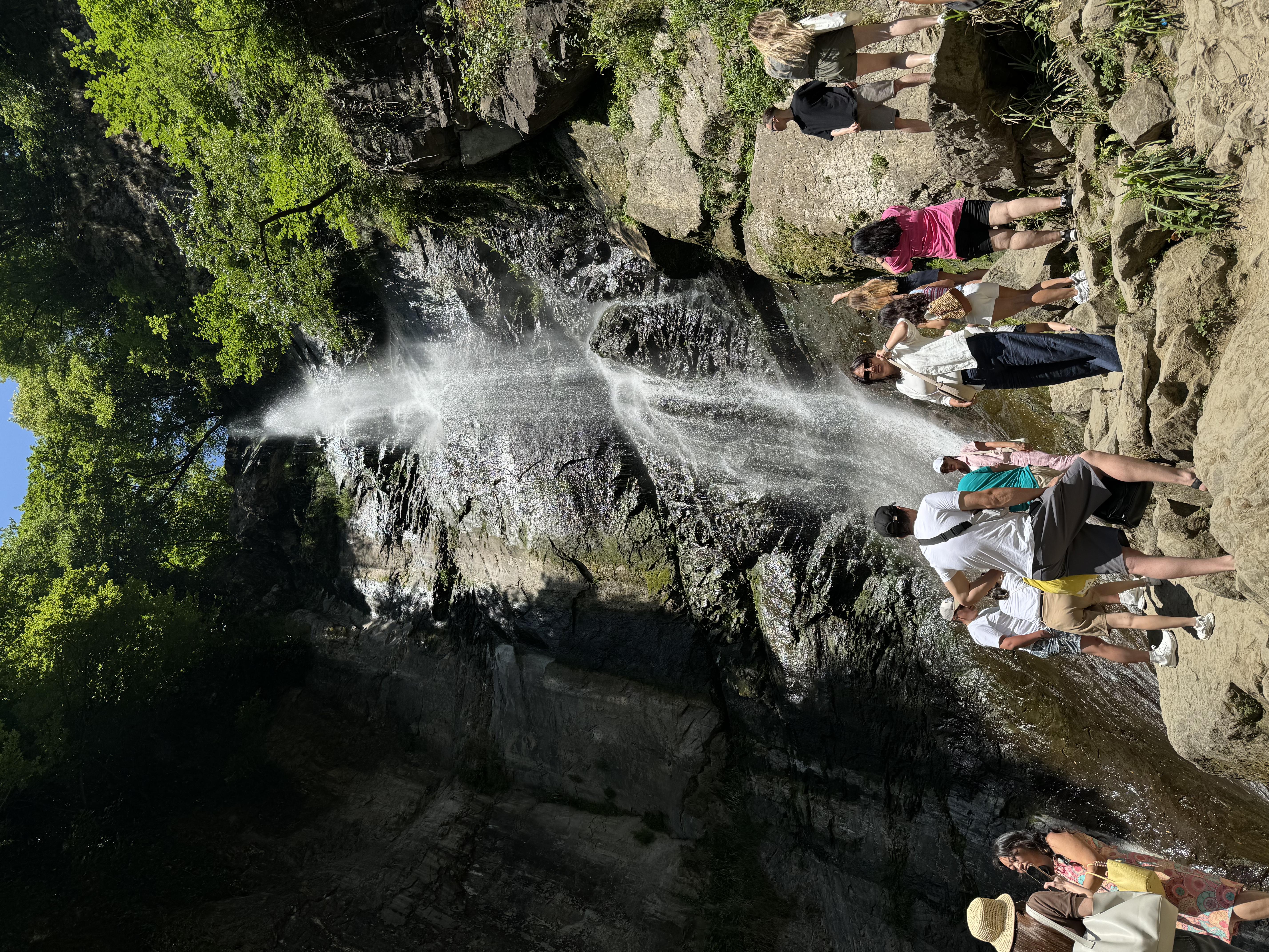 Все Включено! Экскурсия по горной Аджарии + мастер-класс и шоу грузинских танцев+обед (12/44)