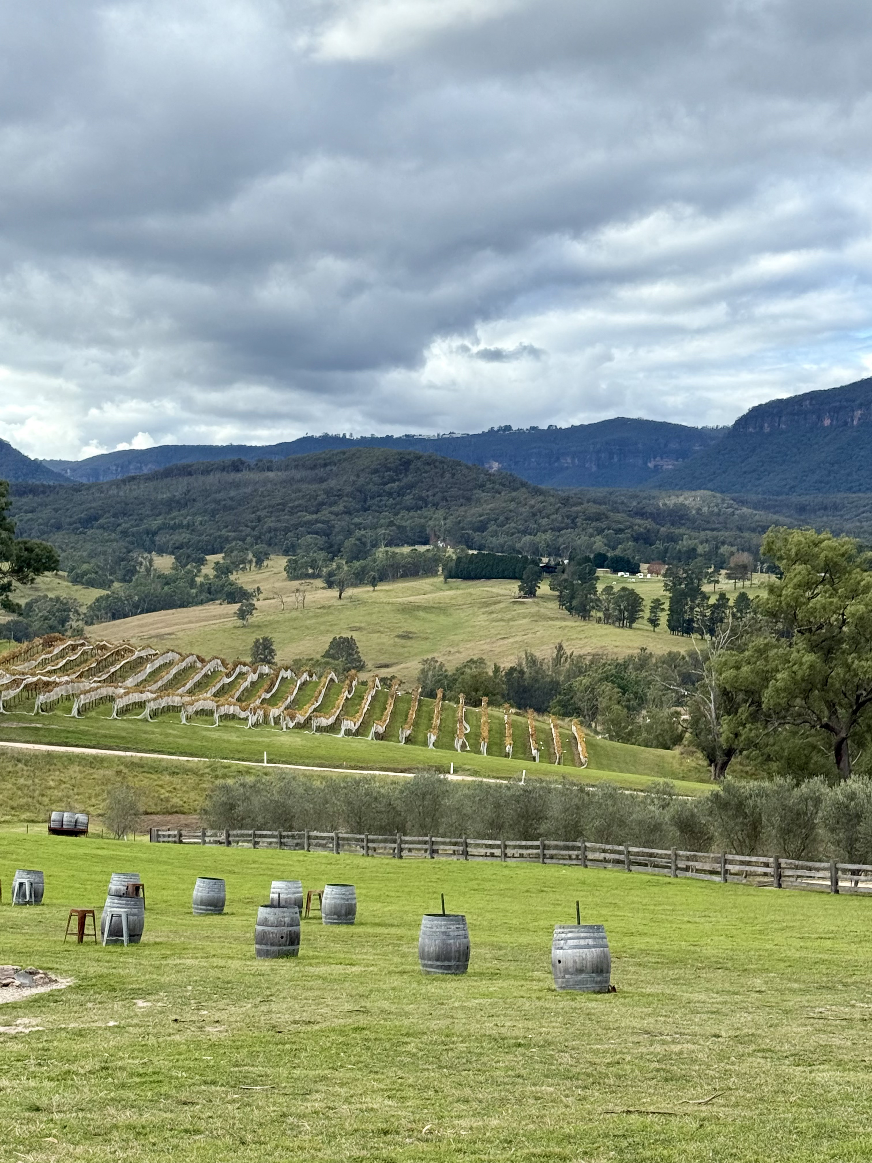 Путешествие в Австралию 2026 (13/43)