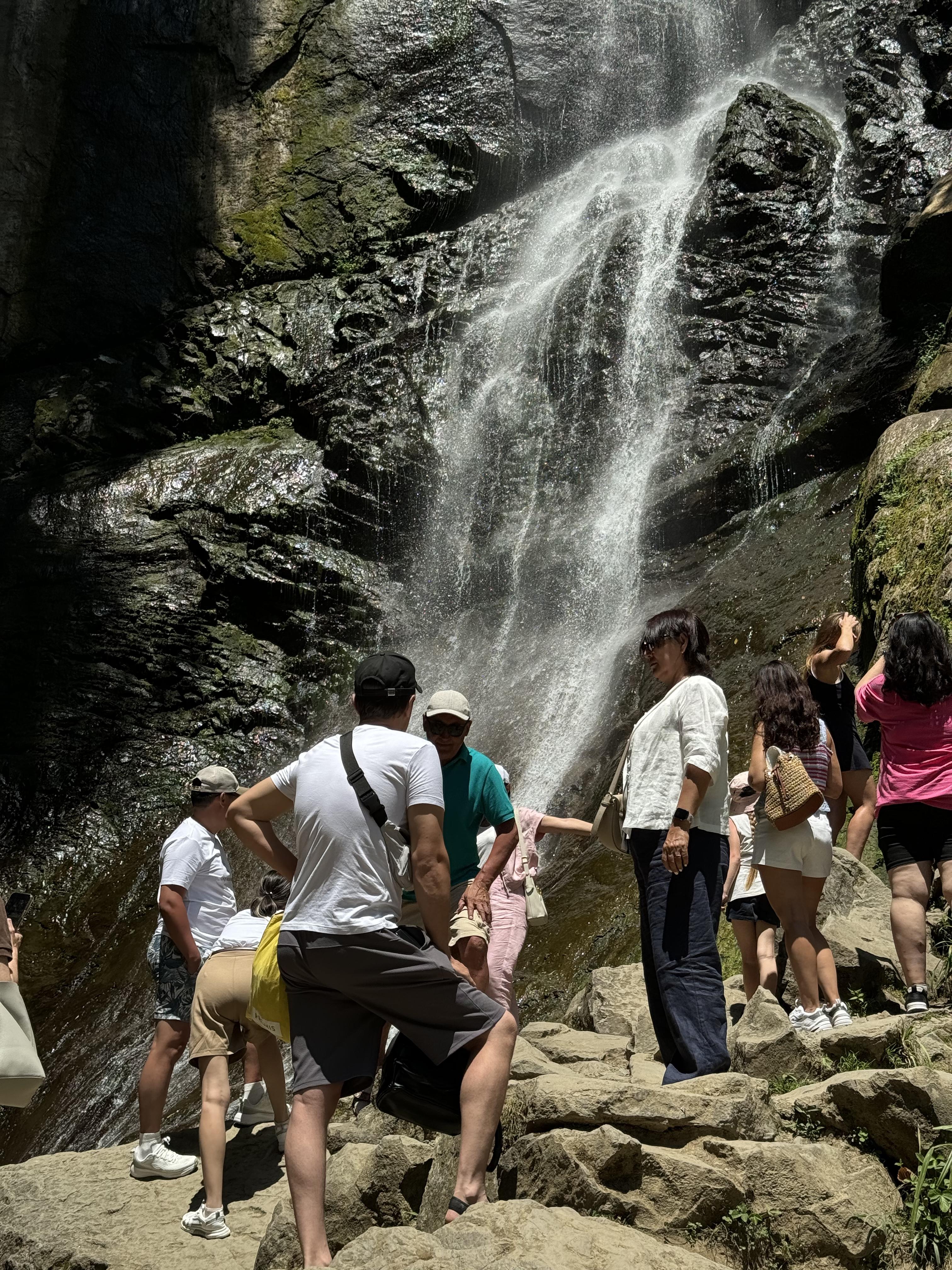 Все Включено! Экскурсия по горной Аджарии + мастер-класс и шоу грузинских танцев+обед (14/44)