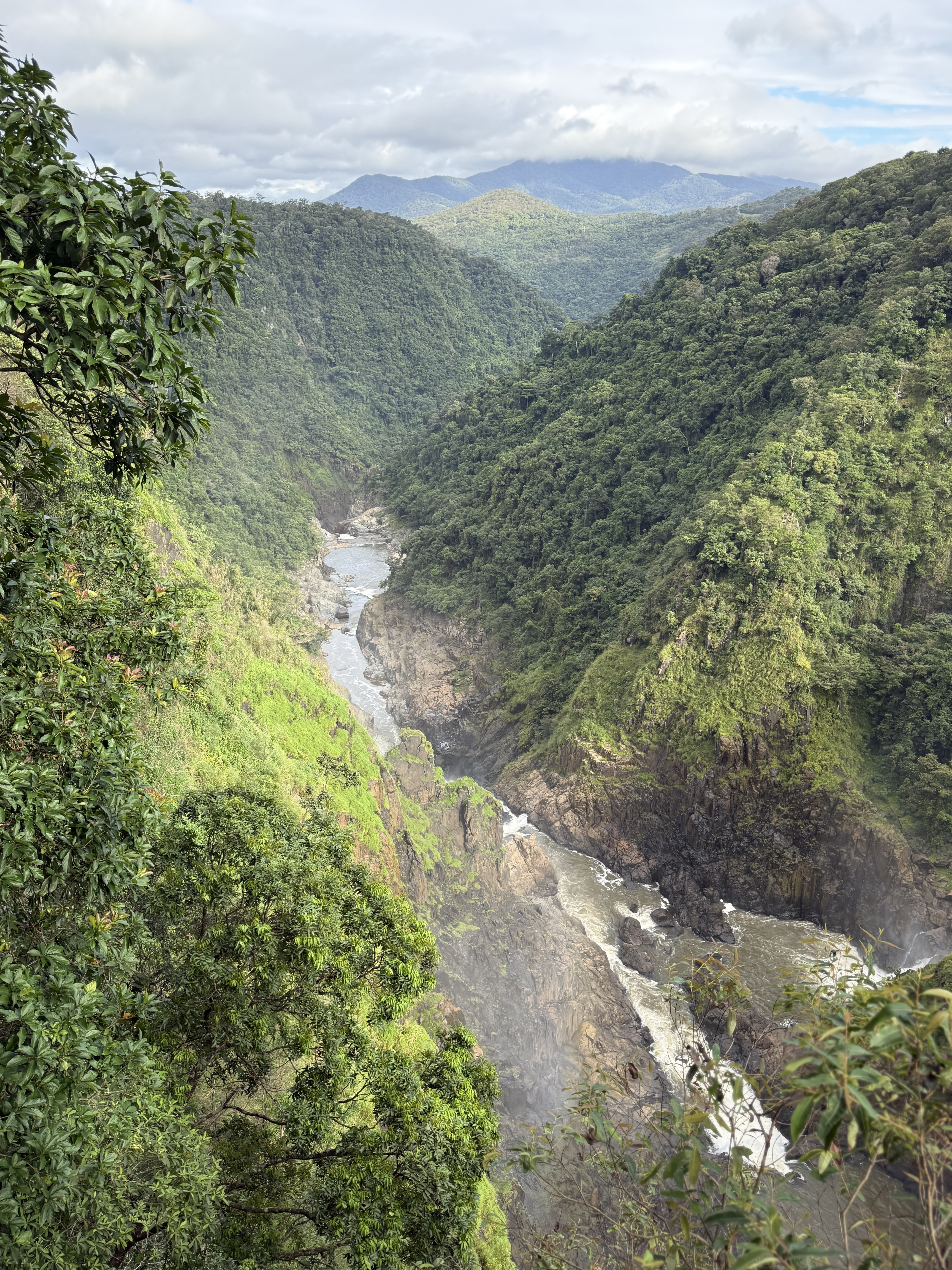 Путешествие в Австралию 2026 (6/43)