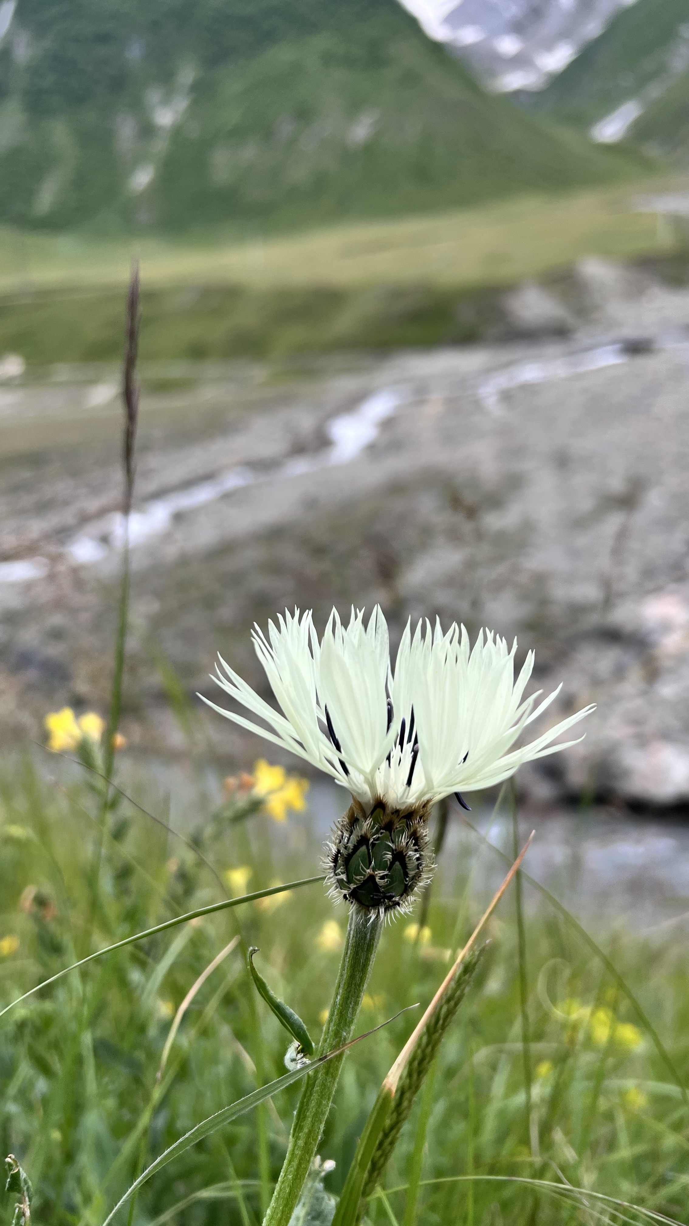 Хевсурети: крепости-села и величественные горы (Из Тбильси ) (9/20)