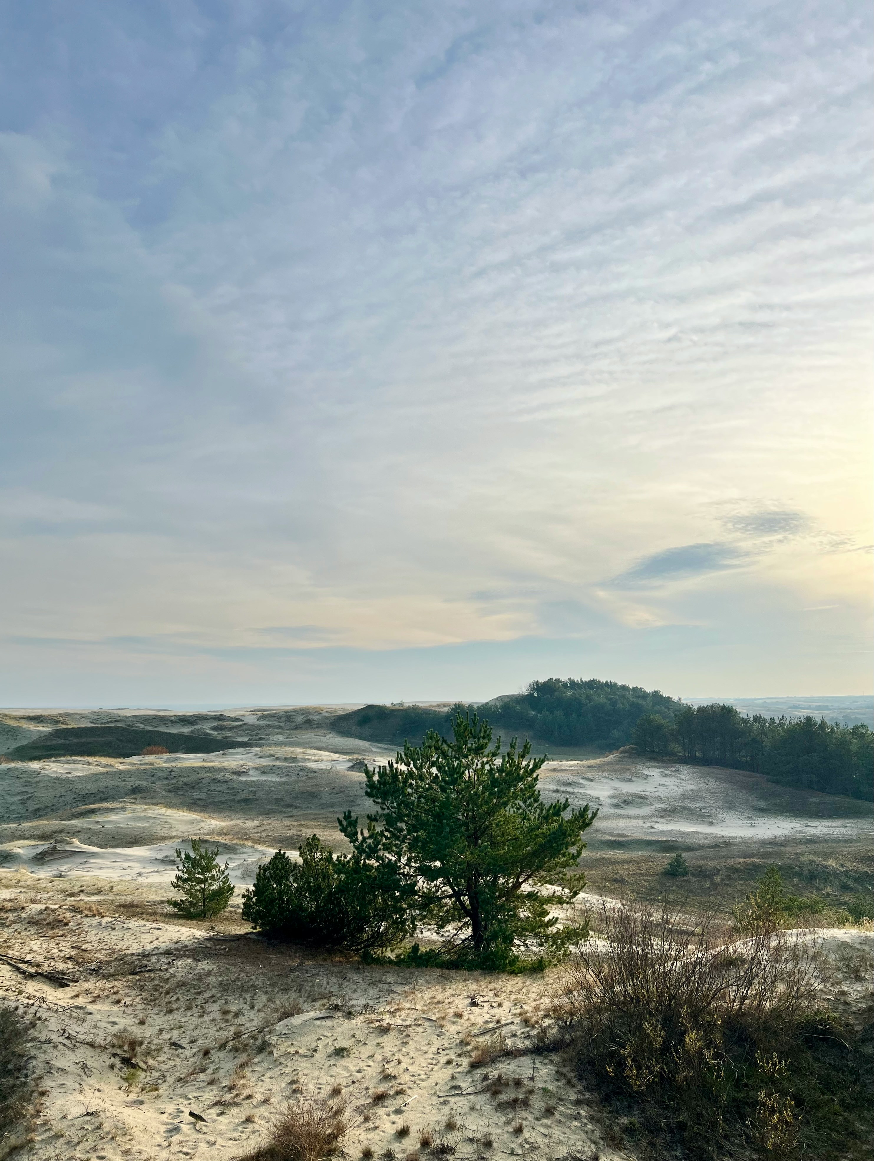 Куршская коса и Королевский курорт Кранц, 8 часов