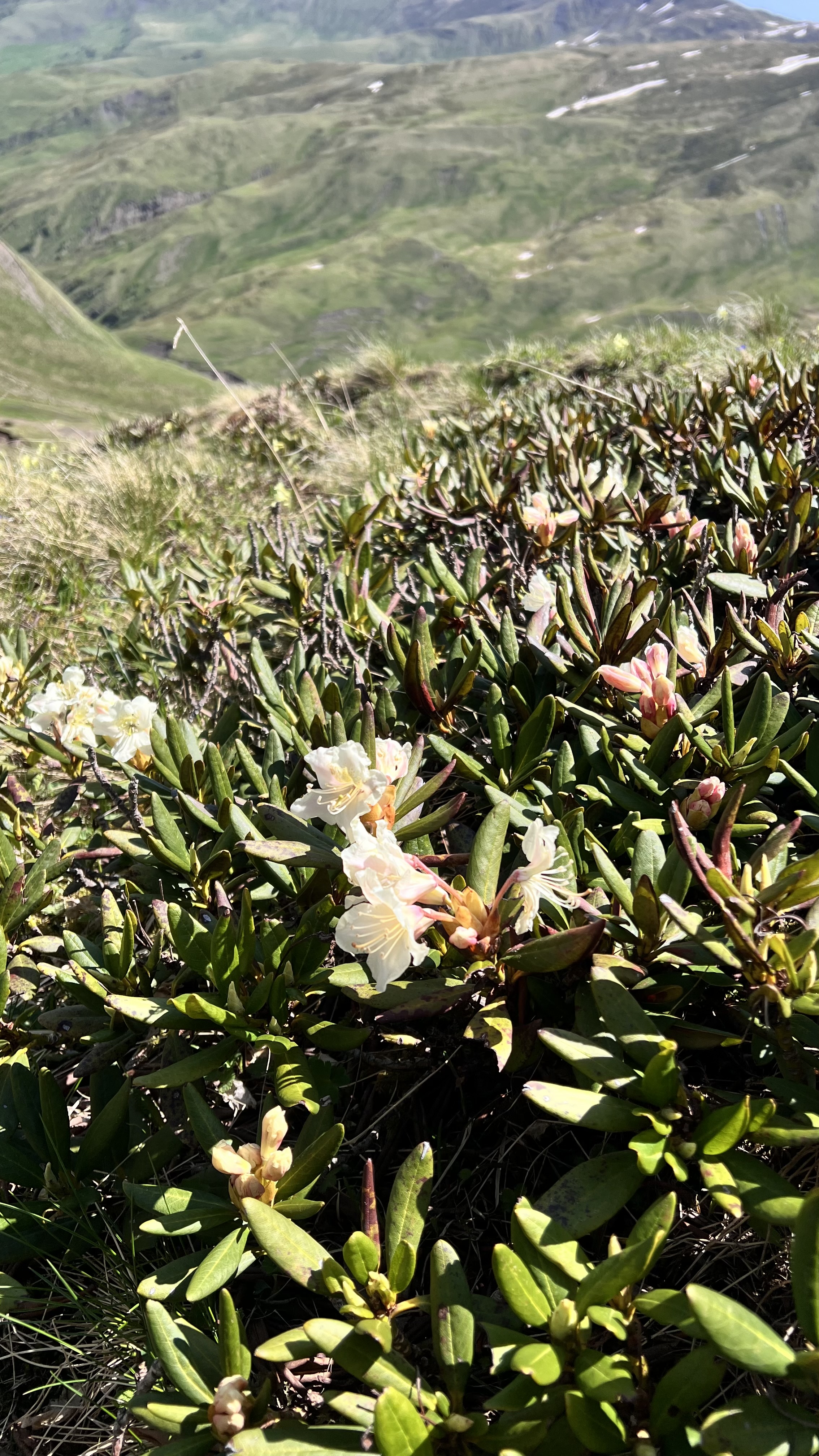 Хевсурети: крепости-села и величественные горы (Из Тбильси ) (3/20)