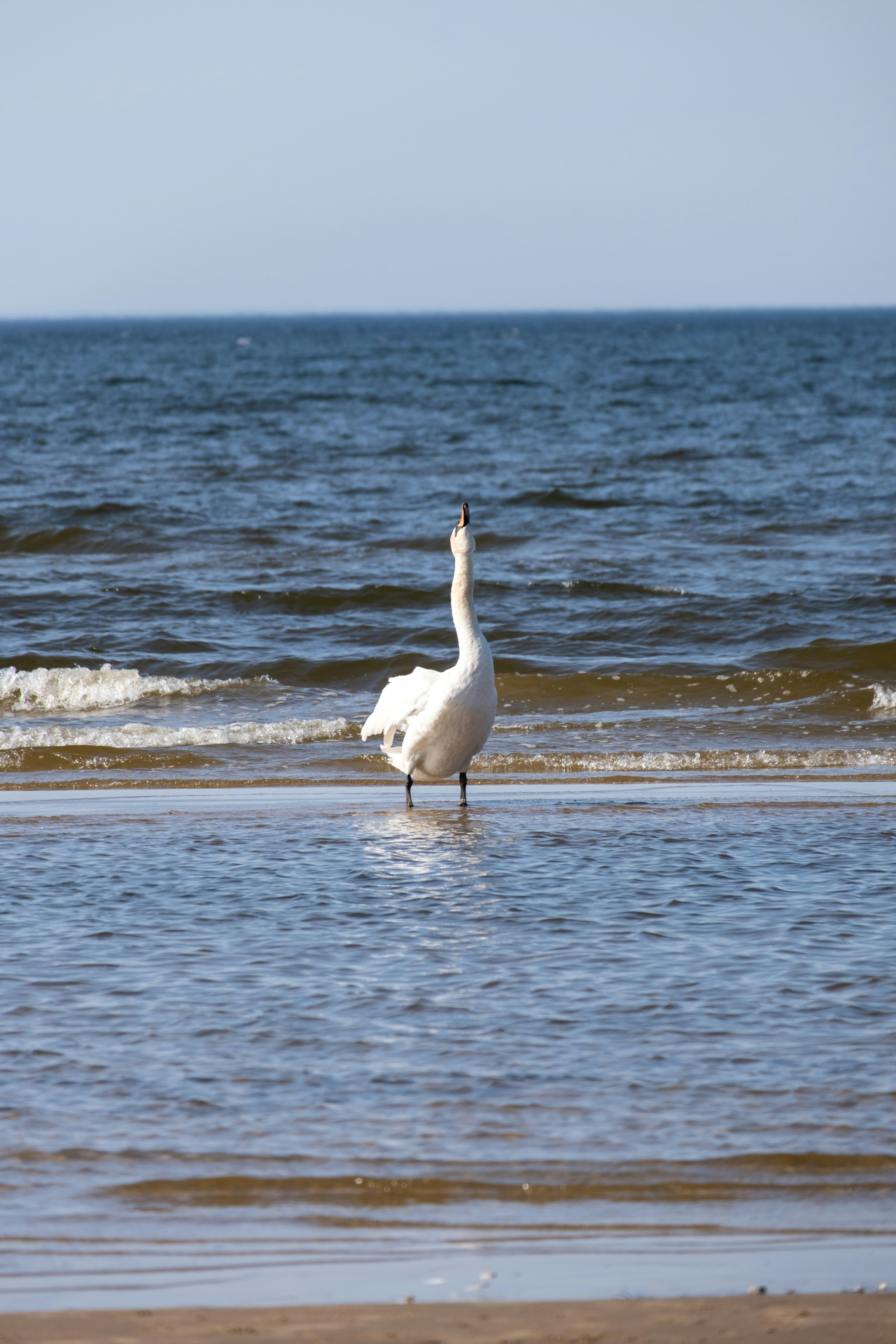 Экскурсия Неприступный Балтийск, 6 часов